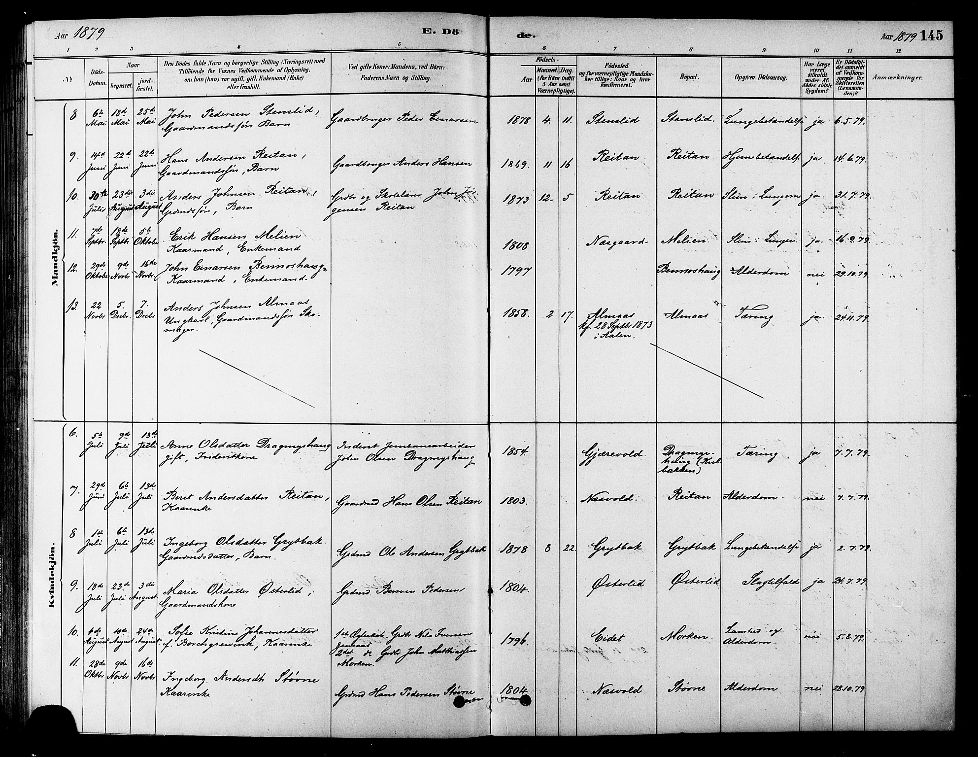 Ministerialprotokoller, klokkerbøker og fødselsregistre - Sør-Trøndelag, SAT/A-1456/686/L0983: Parish register (official) no. 686A01, 1879-1890, p. 145