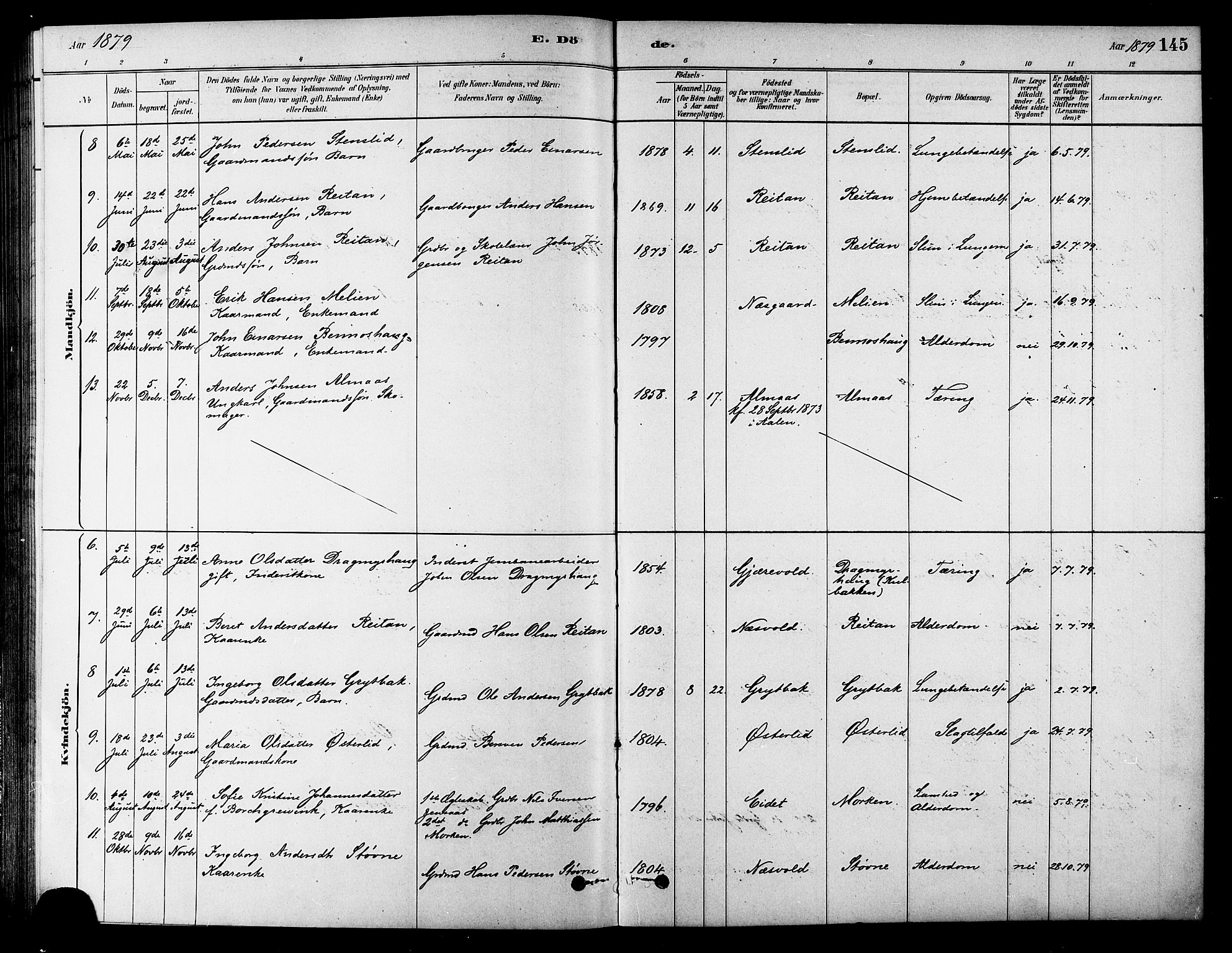 Ministerialprotokoller, klokkerbøker og fødselsregistre - Sør-Trøndelag, AV/SAT-A-1456/686/L0983: Parish register (official) no. 686A01, 1879-1890, p. 145