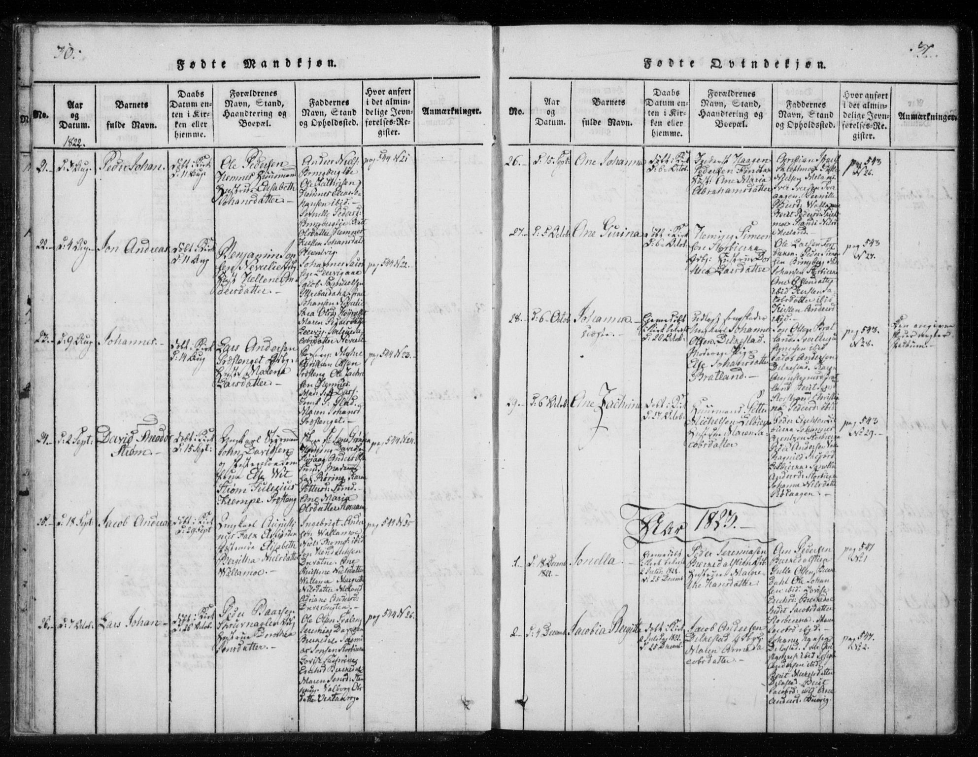 Ministerialprotokoller, klokkerbøker og fødselsregistre - Nordland, SAT/A-1459/825/L0353: Parish register (official) no. 825A07, 1820-1826, p. 30-31