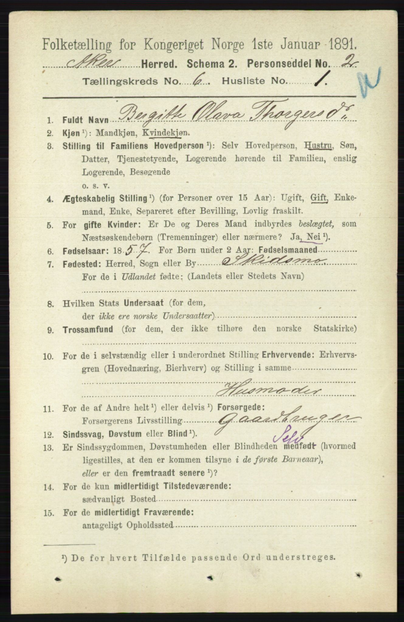 RA, 1891 census for 0218 Aker, 1891, p. 5513