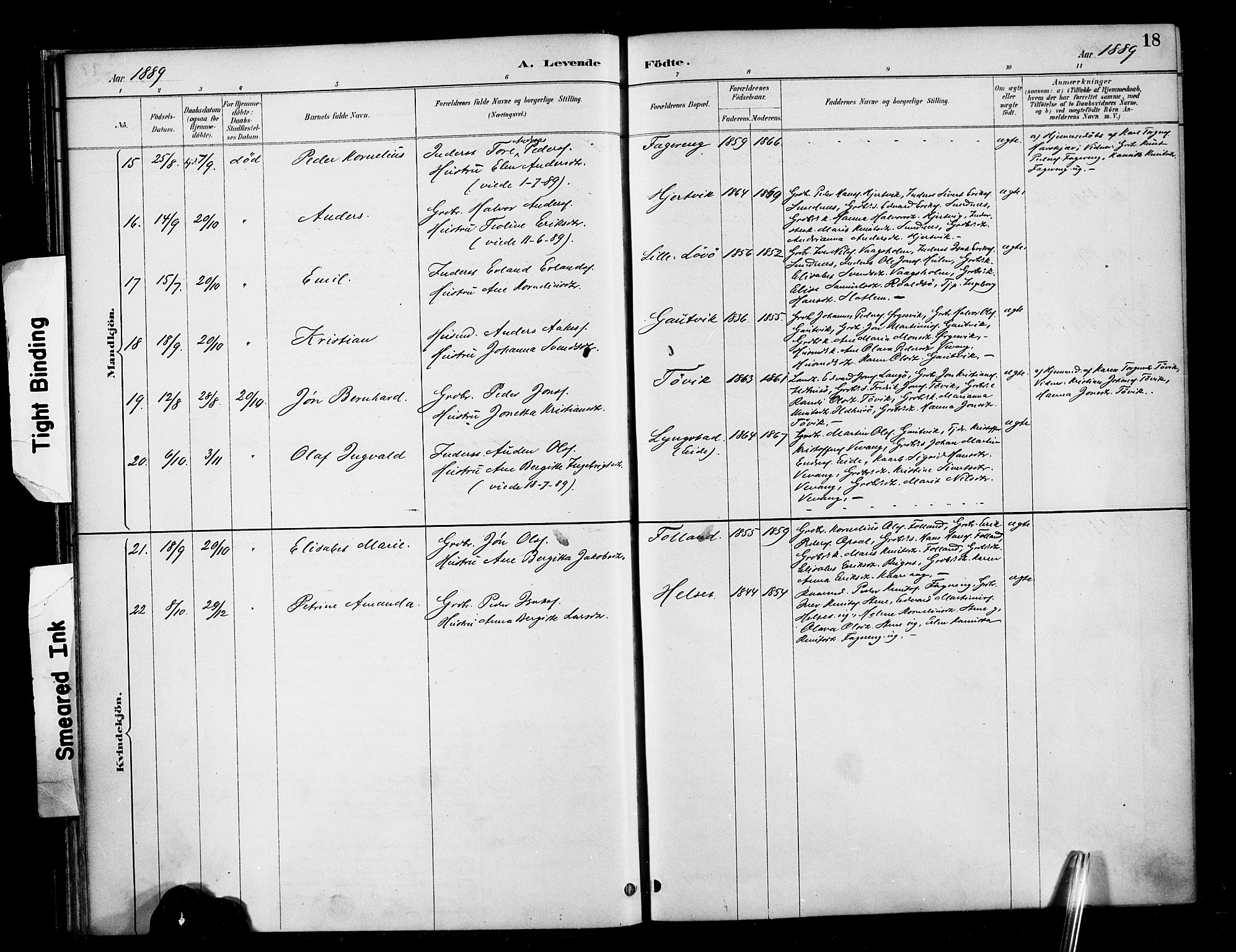 Ministerialprotokoller, klokkerbøker og fødselsregistre - Møre og Romsdal, AV/SAT-A-1454/570/L0832: Parish register (official) no. 570A06, 1885-1900, p. 18