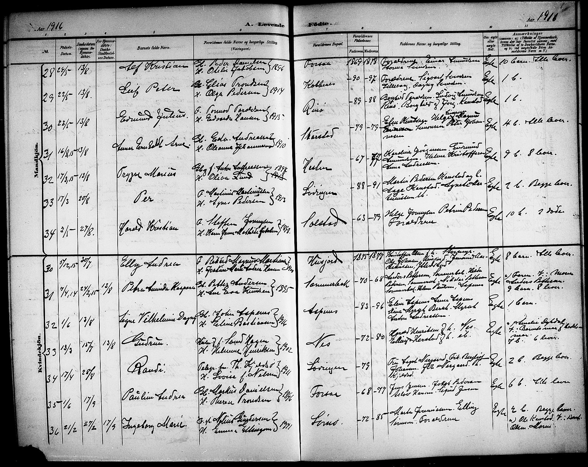 Ministerialprotokoller, klokkerbøker og fødselsregistre - Nordland, SAT/A-1459/872/L1048: Parish register (copy) no. 872C04, 1898-1919