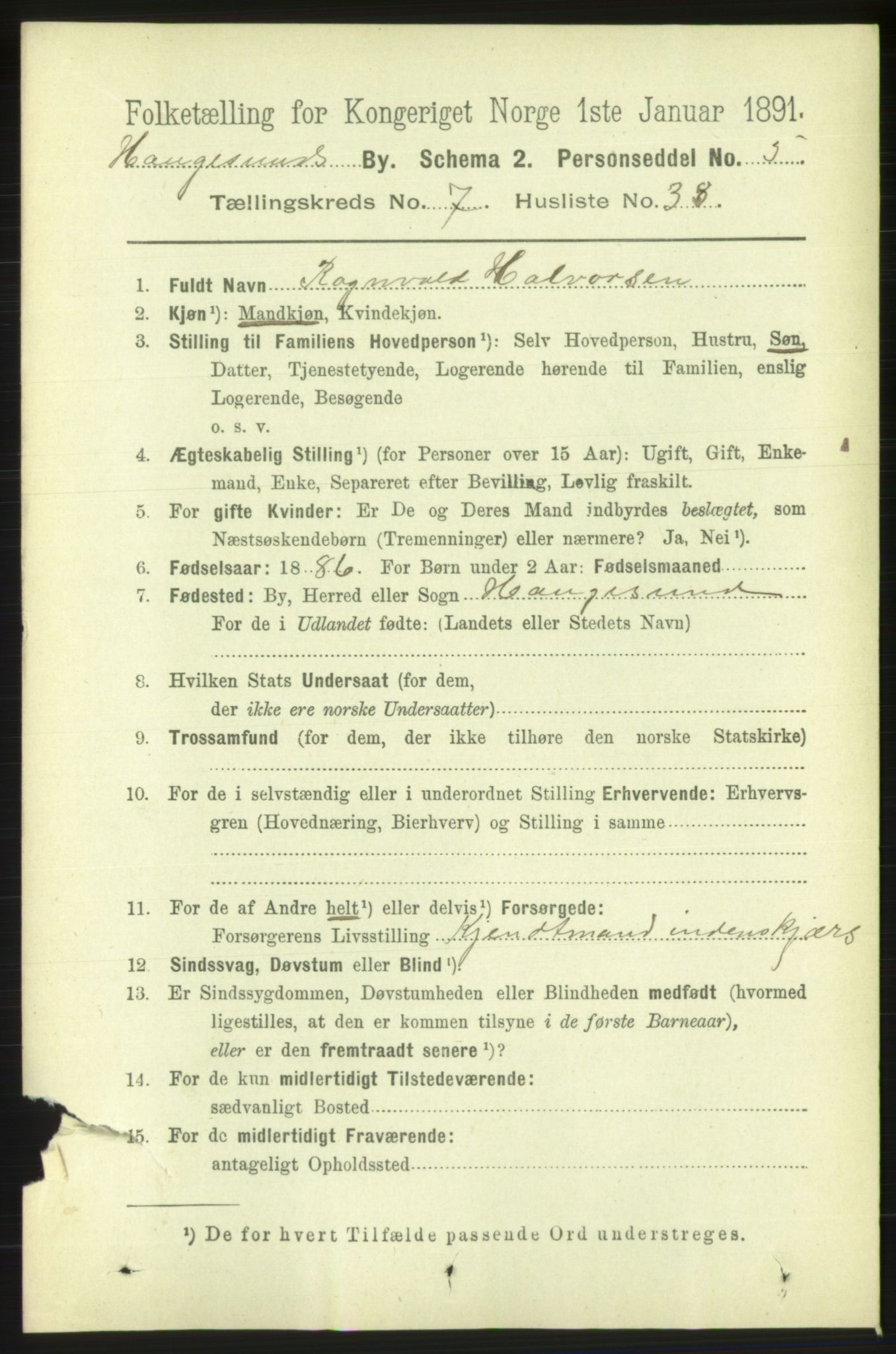 RA, 1891 census for 1106 Haugesund, 1891, p. 3514