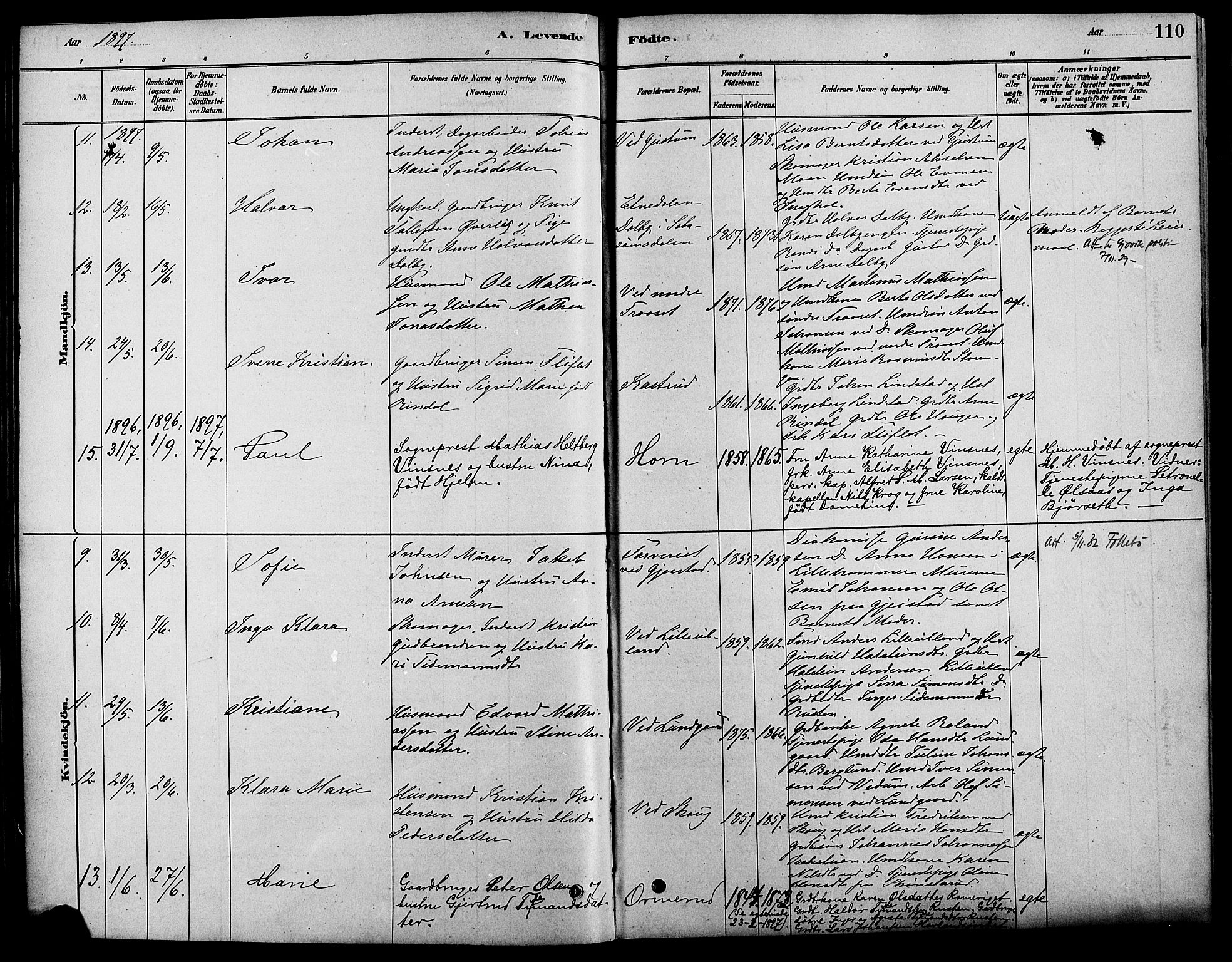 Fåberg prestekontor, AV/SAH-PREST-086/H/Ha/Haa/L0008: Parish register (official) no. 8, 1879-1898, p. 110