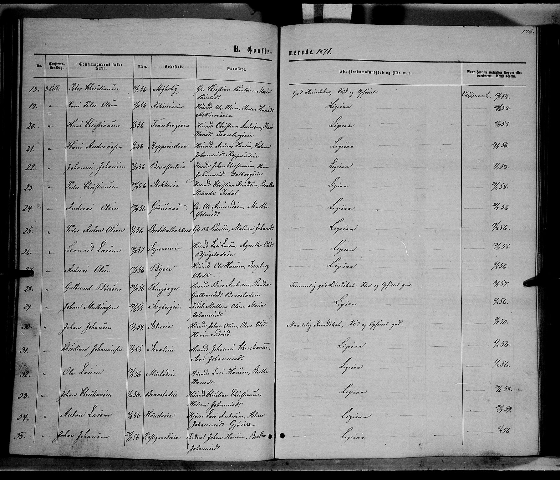 Vardal prestekontor, SAH/PREST-100/H/Ha/Hab/L0006: Parish register (copy) no. 6, 1869-1881, p. 176