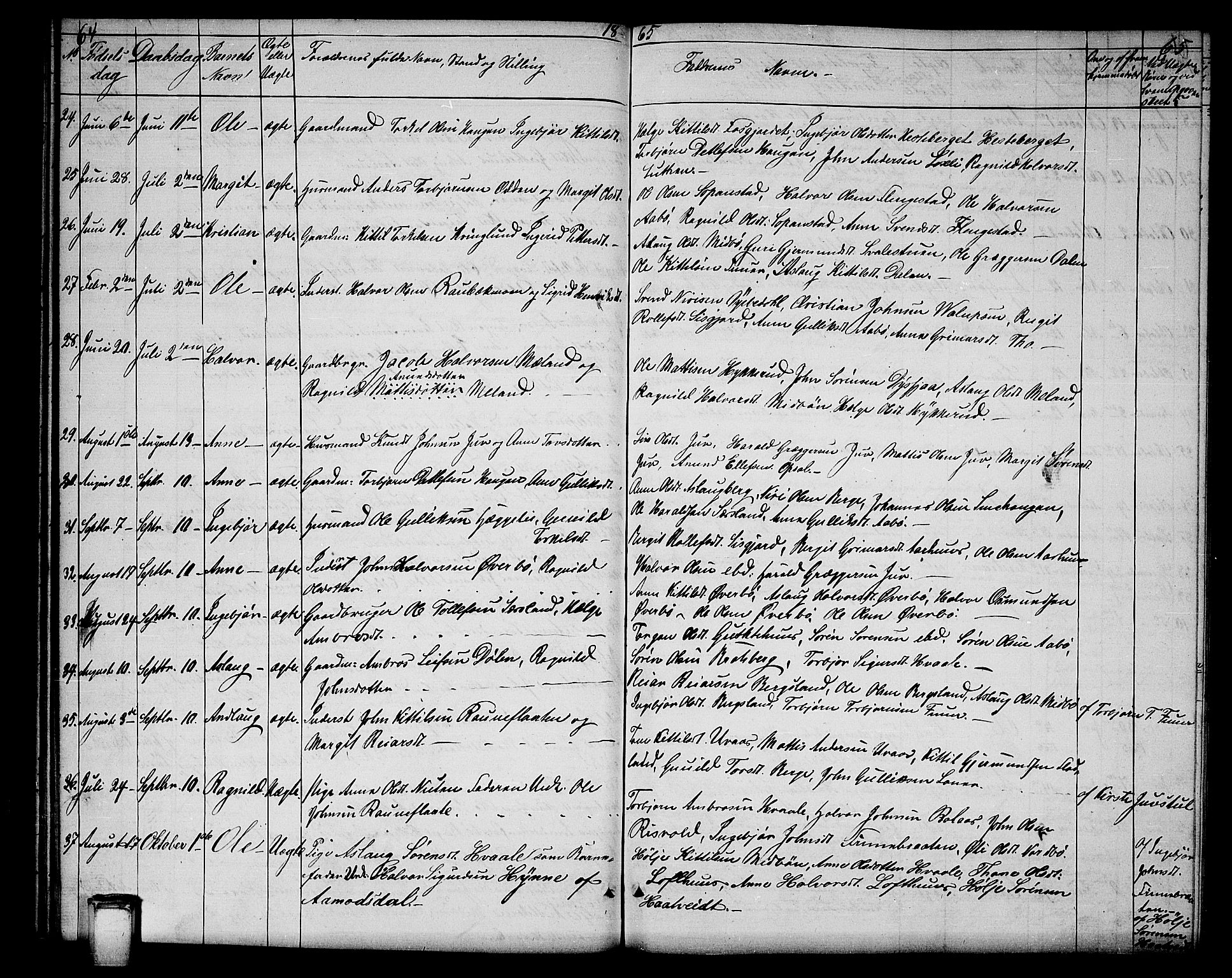 Hjartdal kirkebøker, SAKO/A-270/G/Ga/L0002: Parish register (copy) no. I 2, 1854-1888, p. 64-65