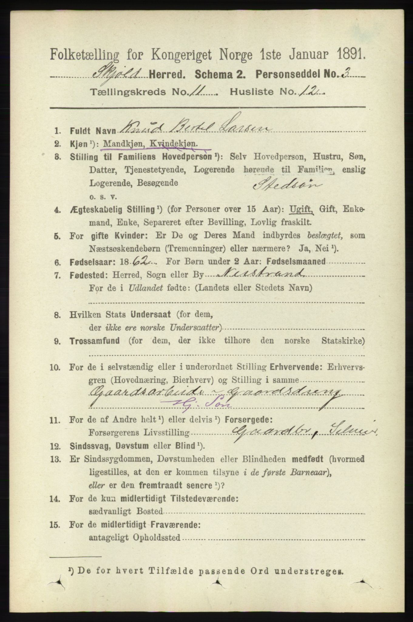 RA, 1891 census for 1154 Skjold, 1891, p. 2123
