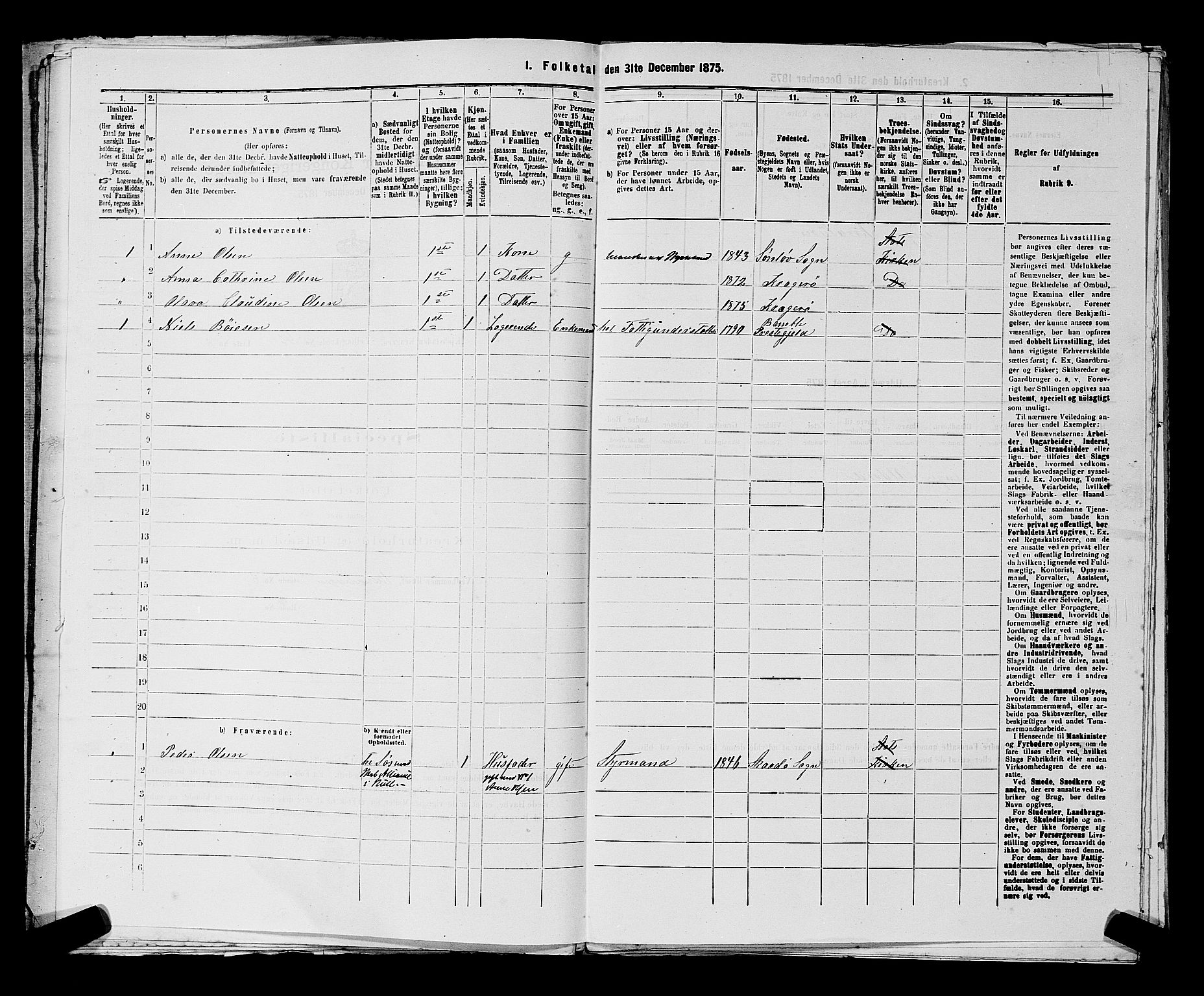 SAKO, 1875 census for 0801P Kragerø, 1875, p. 1029