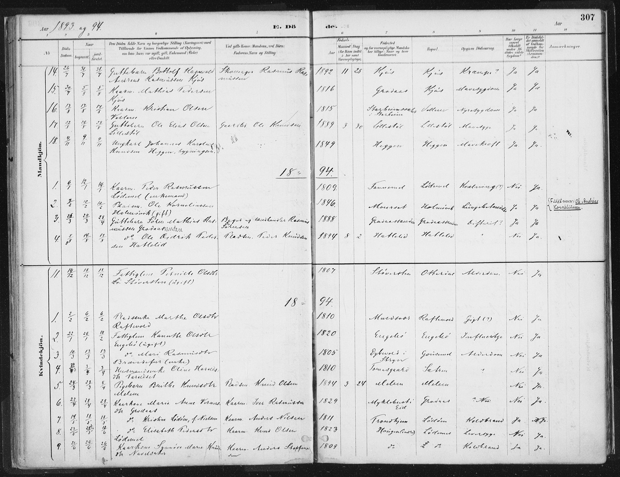 Hornindal sokneprestembete, SAB/A-82401/H/Haa/Haaa/L0003/0002: Parish register (official) no. A 3B, 1885-1917, p. 307