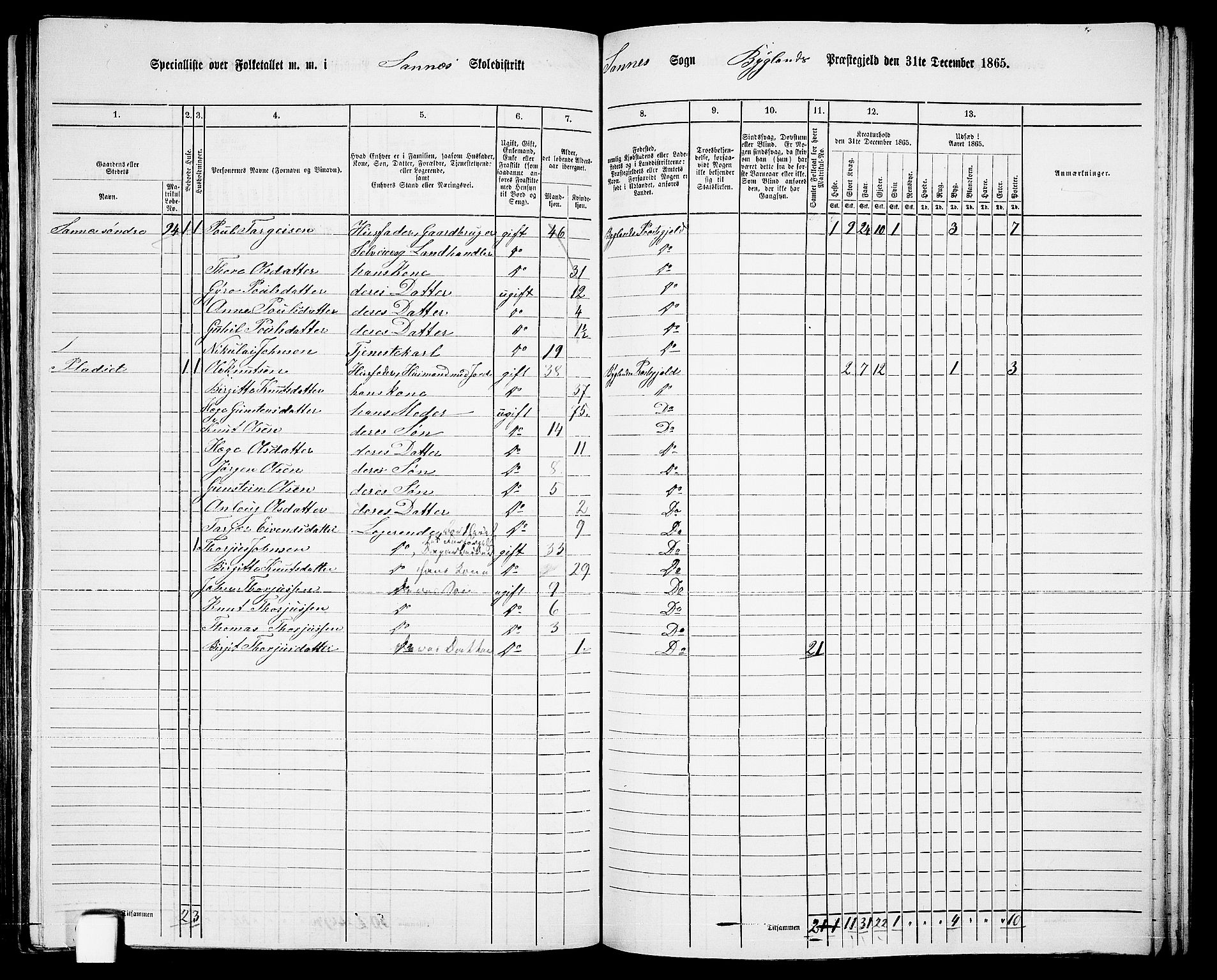 RA, 1865 census for Bygland, 1865, p. 48