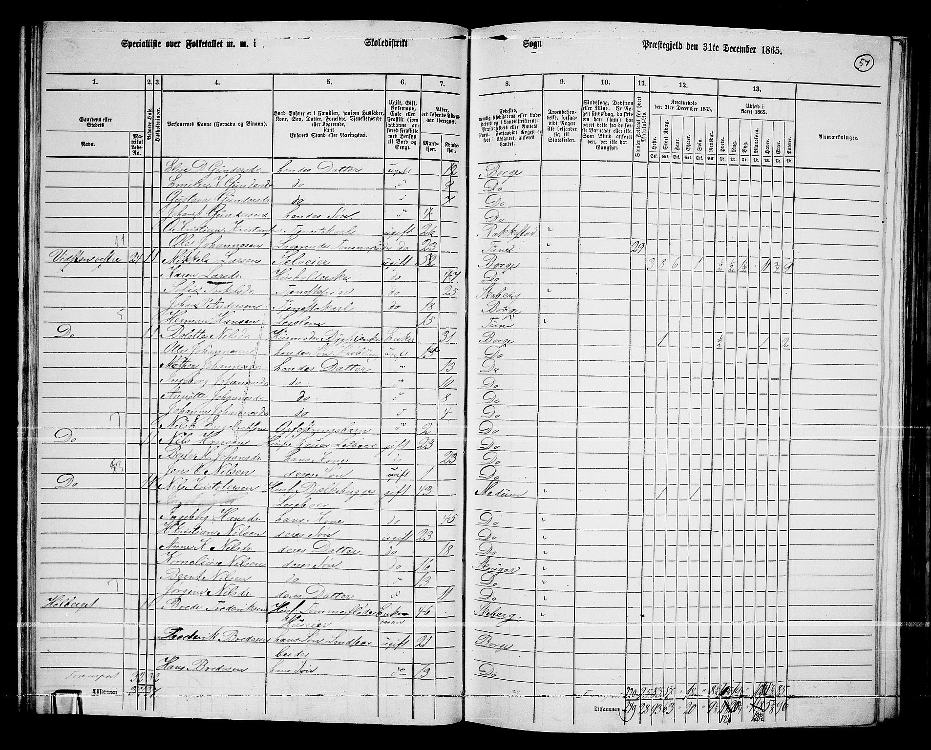 RA, 1865 census for Borge, 1865, p. 55