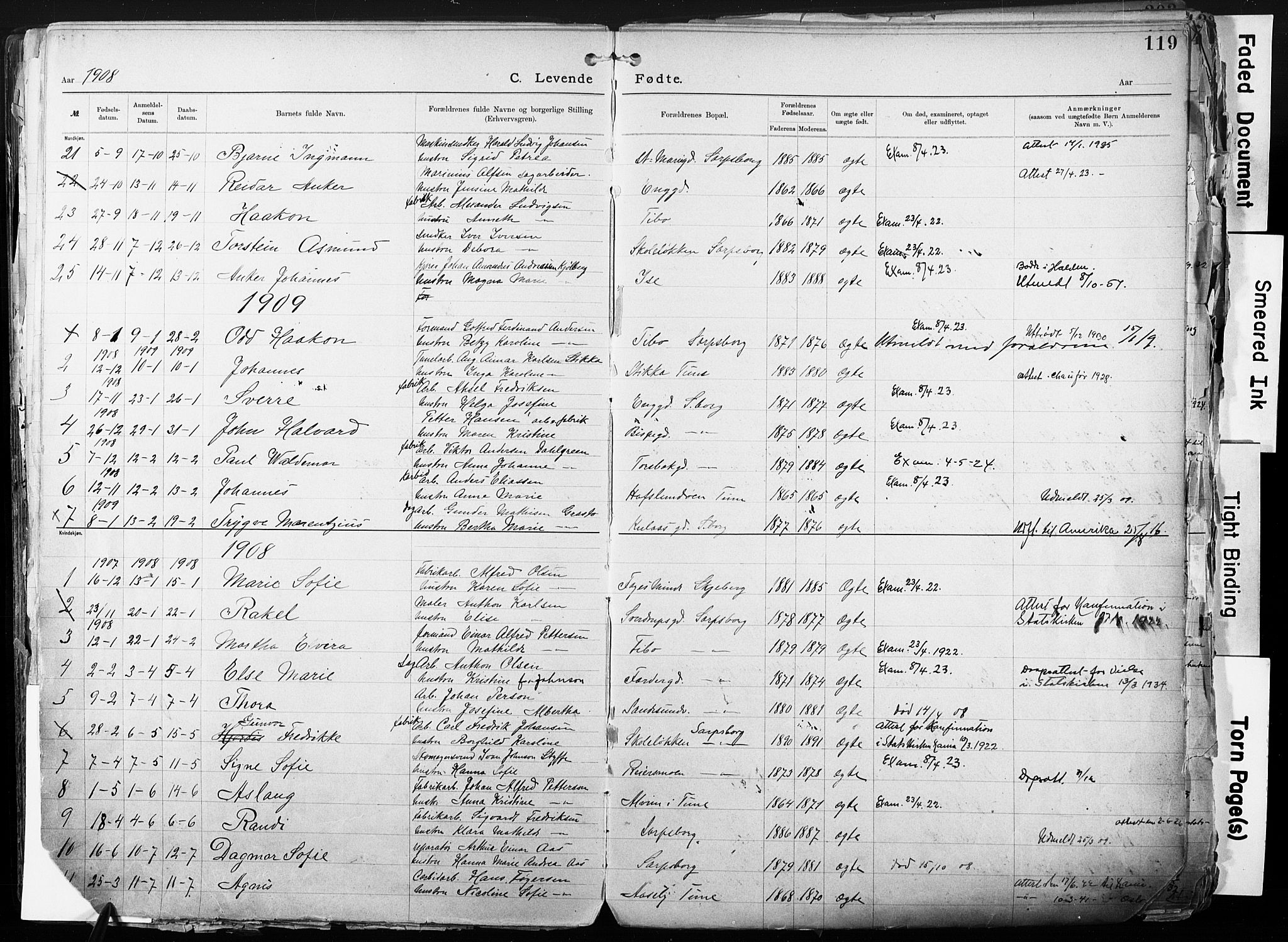 Sarpsborg metodistkirke, SAO/PAO-0233/A/L0004: Dissenter register no. 4, 1892-1923, p. 119