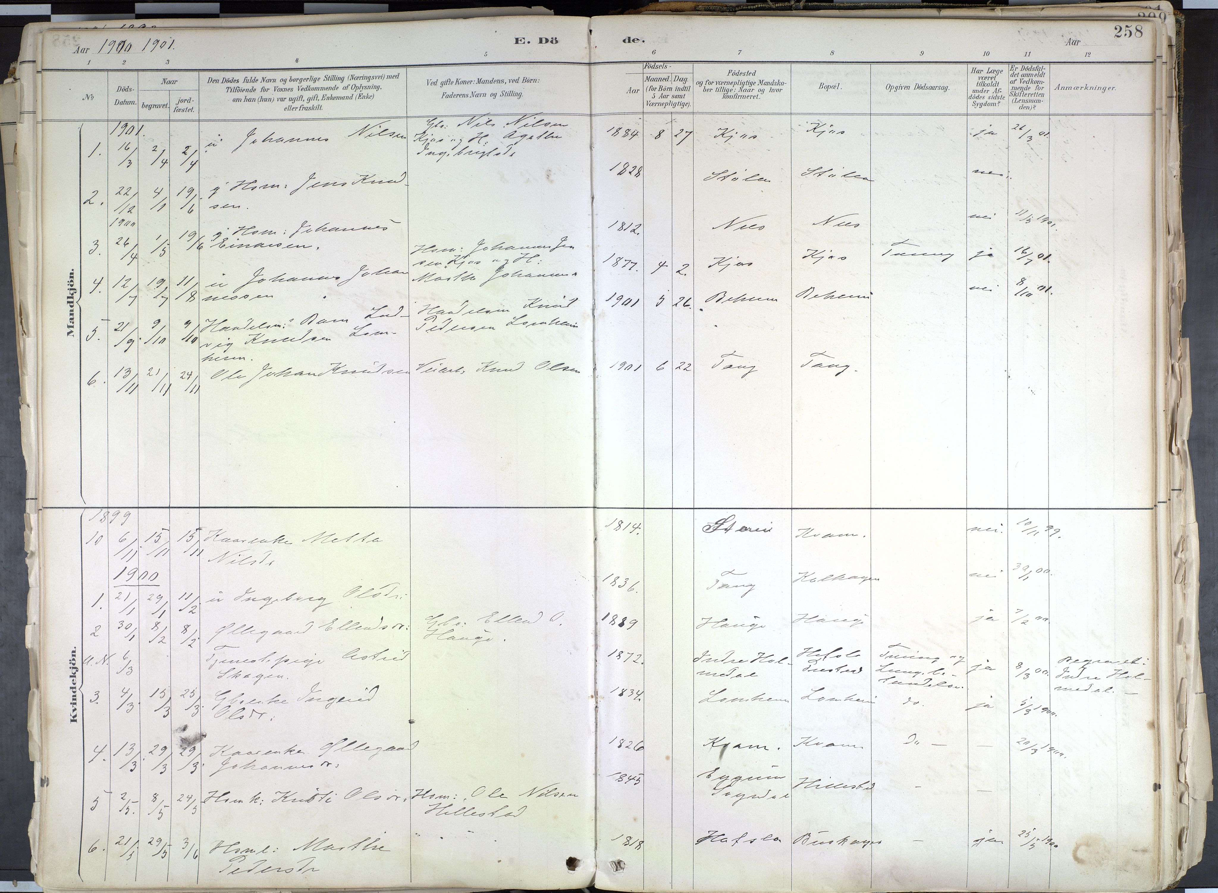 Hafslo sokneprestembete, SAB/A-80301/H/Haa/Haab/L0001: Parish register (official) no. B 1, 1886-1945, p. 258