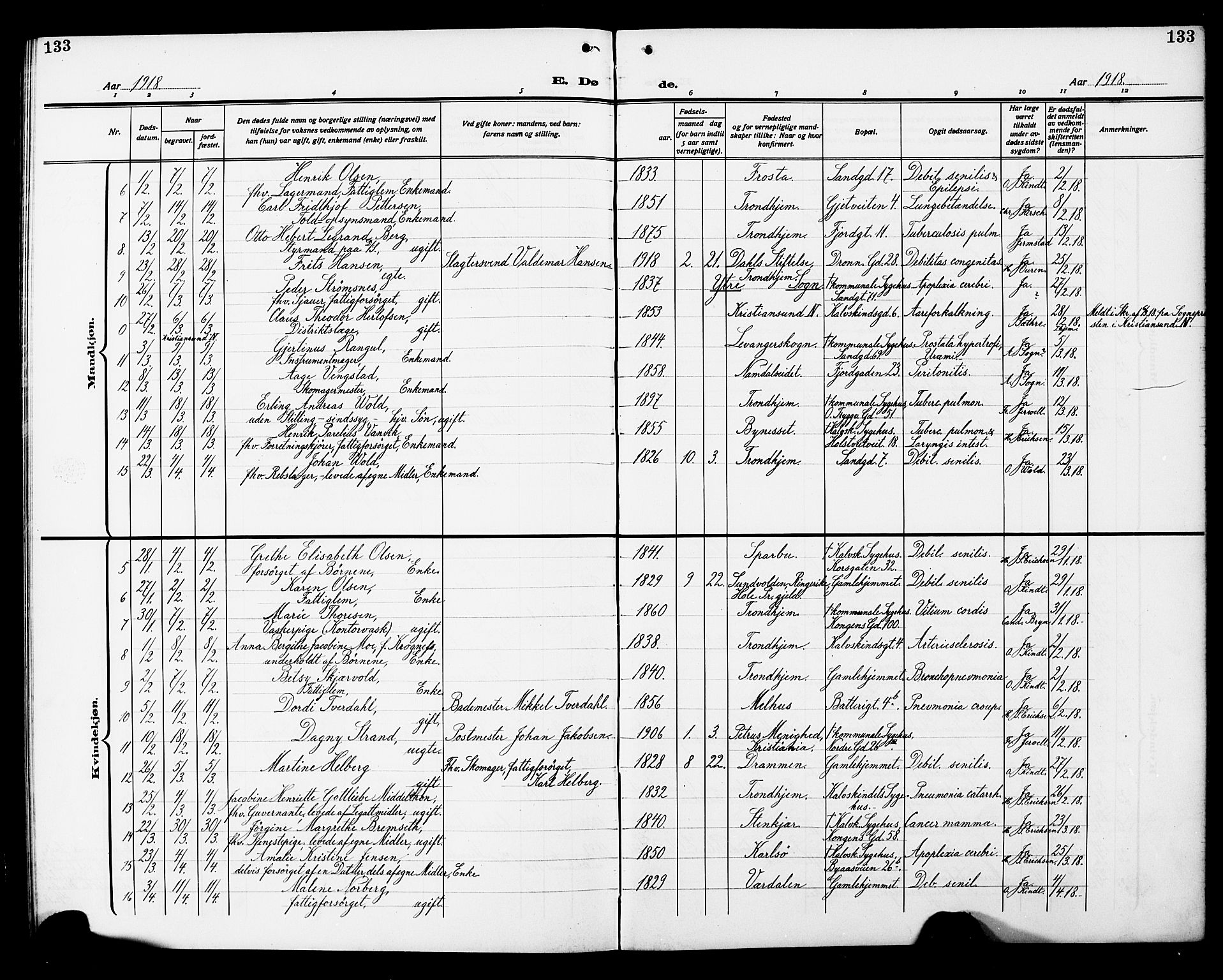 Ministerialprotokoller, klokkerbøker og fødselsregistre - Sør-Trøndelag, SAT/A-1456/602/L0147: Parish register (copy) no. 602C15, 1911-1924, p. 133