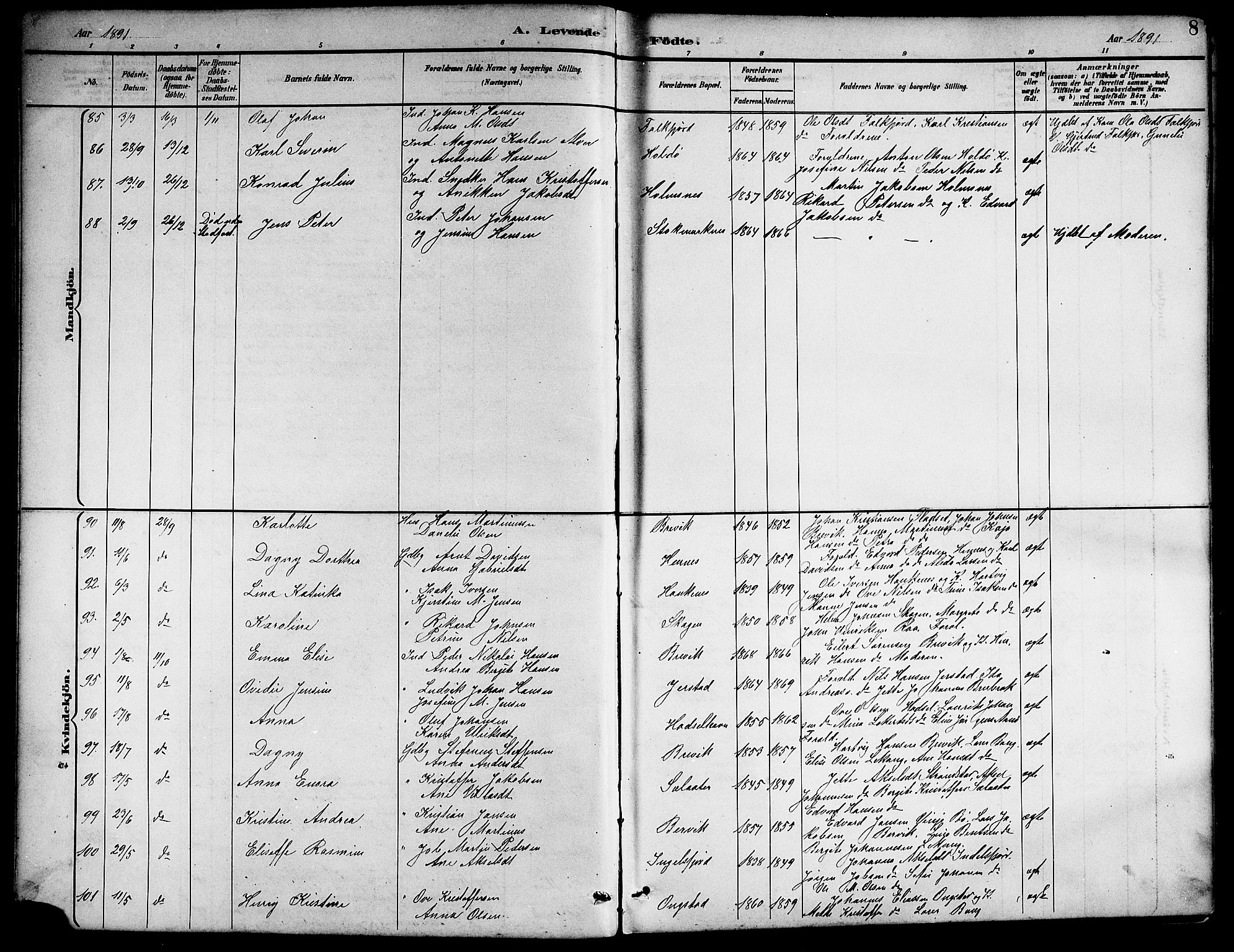 Ministerialprotokoller, klokkerbøker og fødselsregistre - Nordland, SAT/A-1459/888/L1268: Parish register (copy) no. 888C06, 1891-1908, p. 8