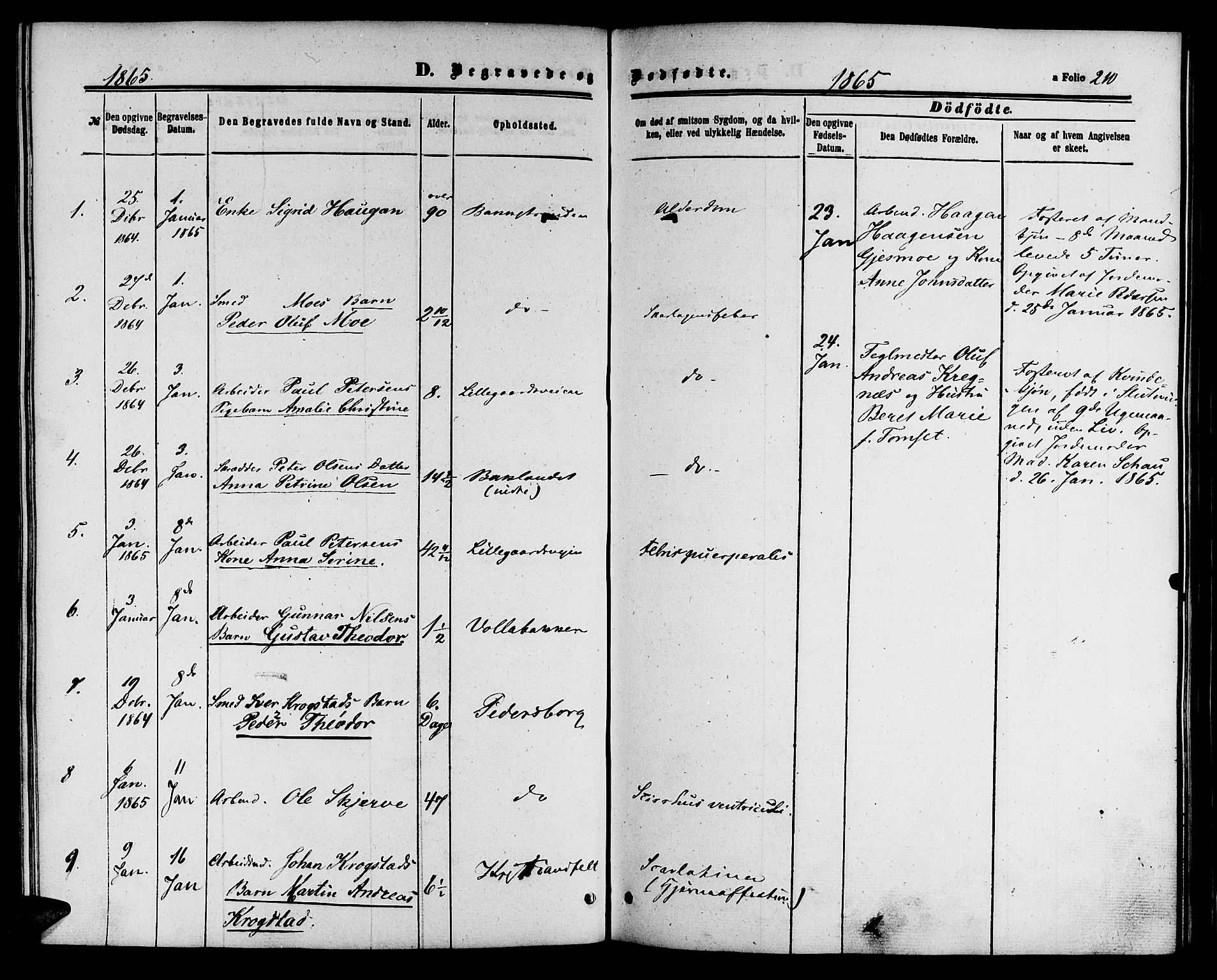 Ministerialprotokoller, klokkerbøker og fødselsregistre - Sør-Trøndelag, SAT/A-1456/604/L0185: Parish register (official) no. 604A06, 1861-1865, p. 210