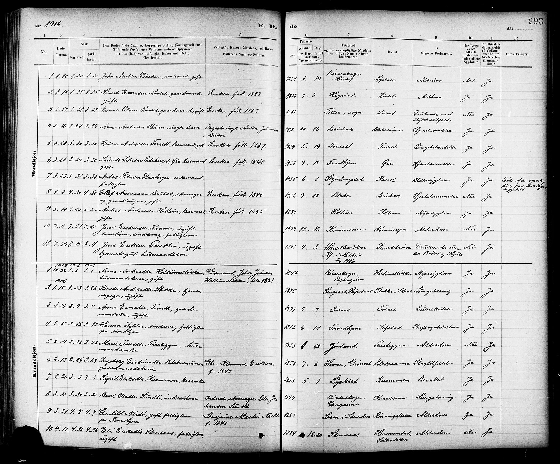 Ministerialprotokoller, klokkerbøker og fødselsregistre - Sør-Trøndelag, SAT/A-1456/691/L1094: Parish register (copy) no. 691C05, 1879-1911, p. 293