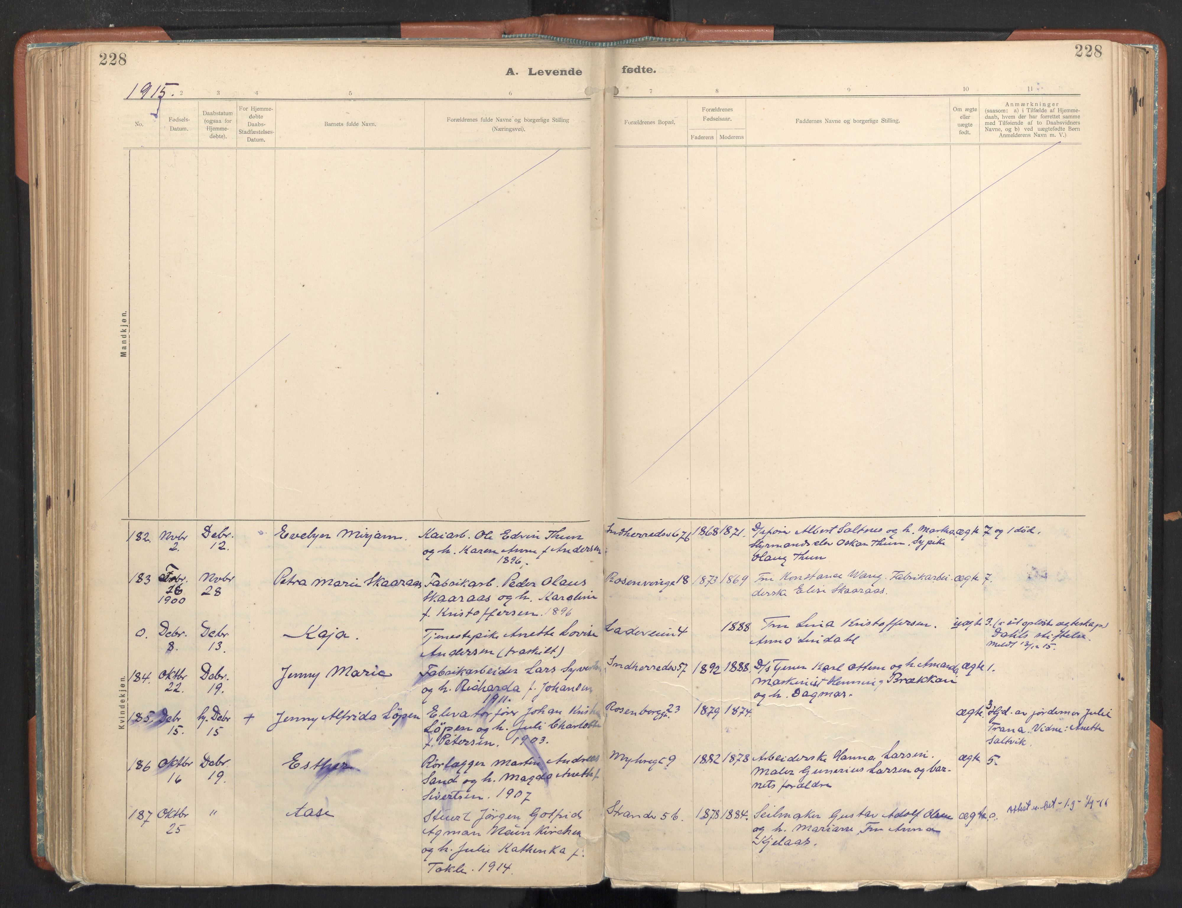 Ministerialprotokoller, klokkerbøker og fødselsregistre - Sør-Trøndelag, SAT/A-1456/605/L0243: Parish register (official) no. 605A05, 1908-1923, p. 228