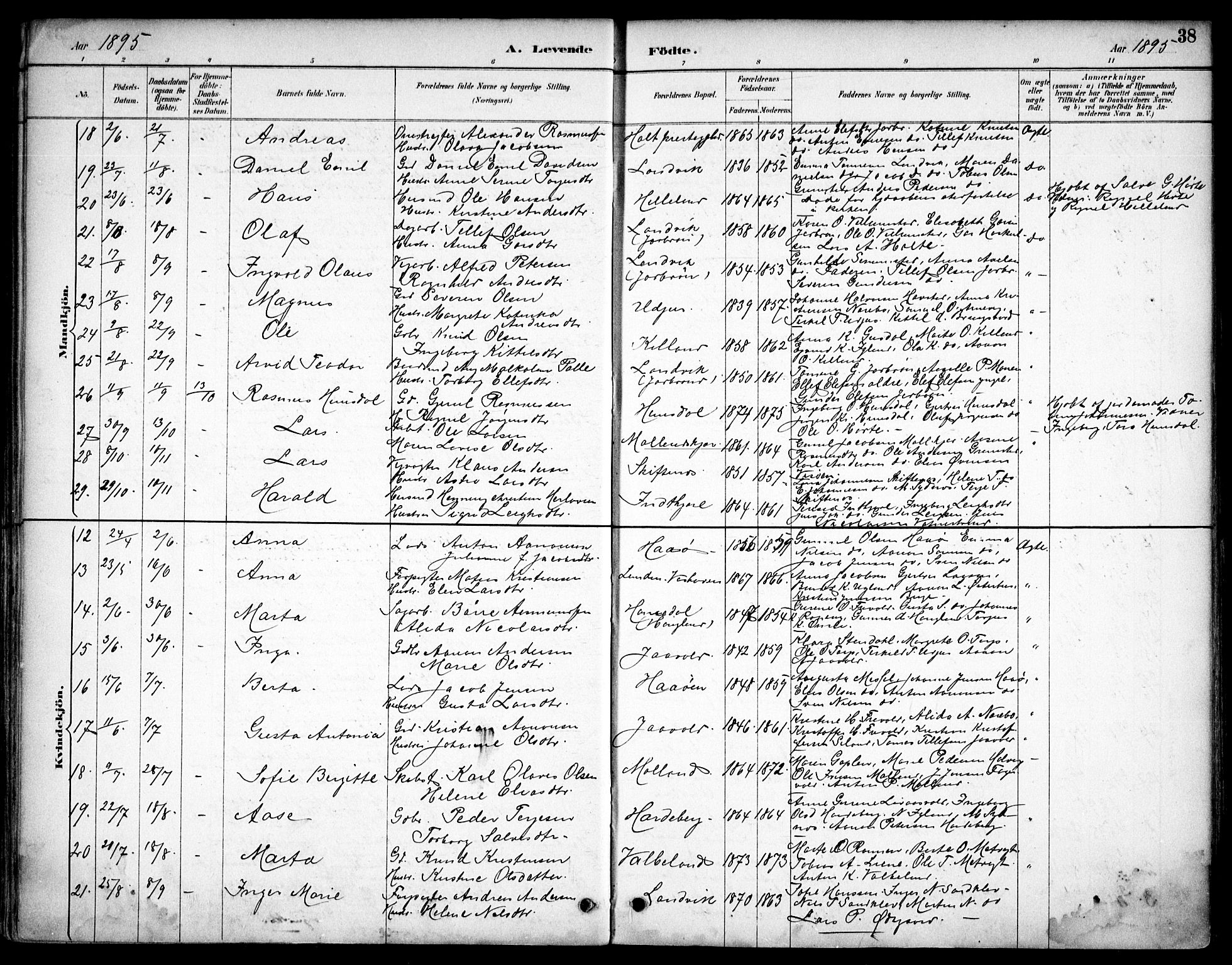 Hommedal sokneprestkontor, AV/SAK-1111-0023/F/Fb/Fbb/L0007: Parish register (copy) no. B 7, 1885-1904, p. 38