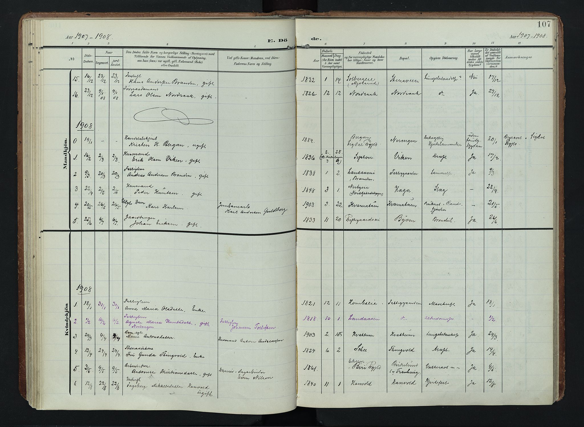 Søndre Land prestekontor, SAH/PREST-122/K/L0005: Parish register (official) no. 5, 1905-1914, p. 107