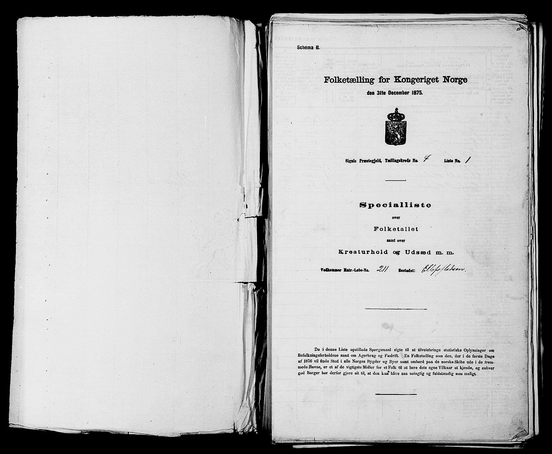 SAKO, 1875 census for 0621P Sigdal, 1875, p. 993