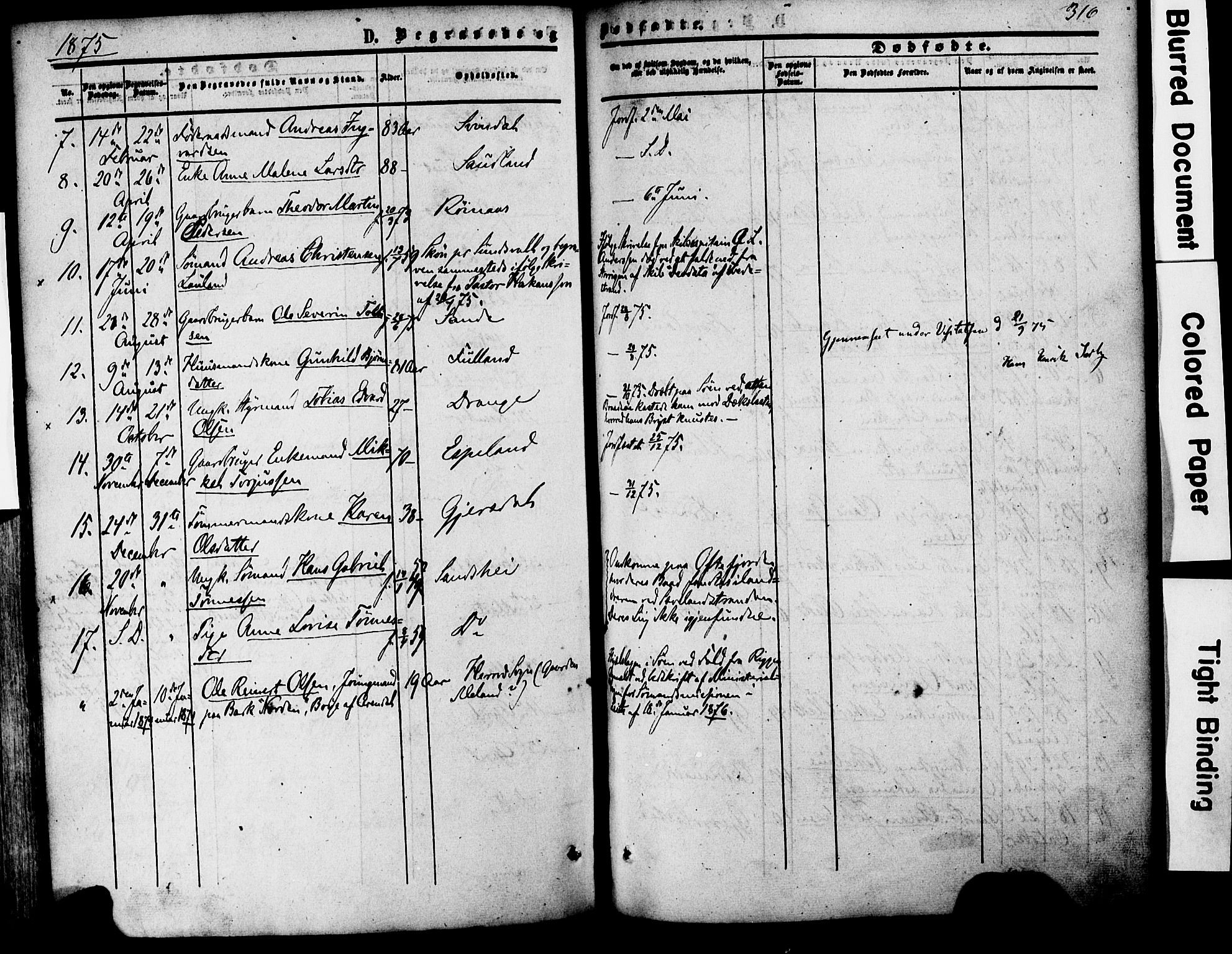 Herad sokneprestkontor, AV/SAK-1111-0018/F/Fa/Faa/L0005: Parish register (official) no. A 5, 1853-1886, p. 316