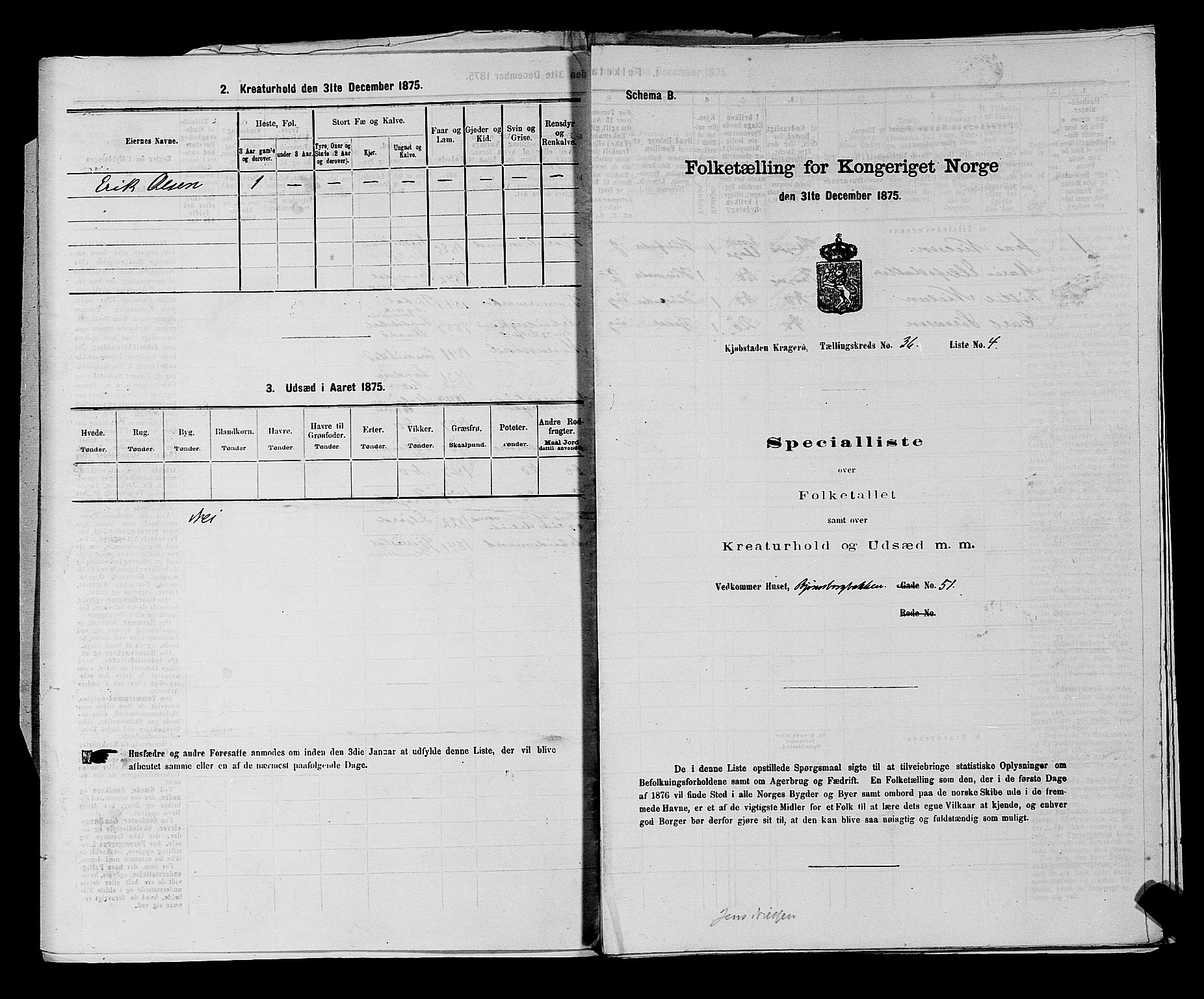 SAKO, 1875 census for 0801P Kragerø, 1875, p. 811