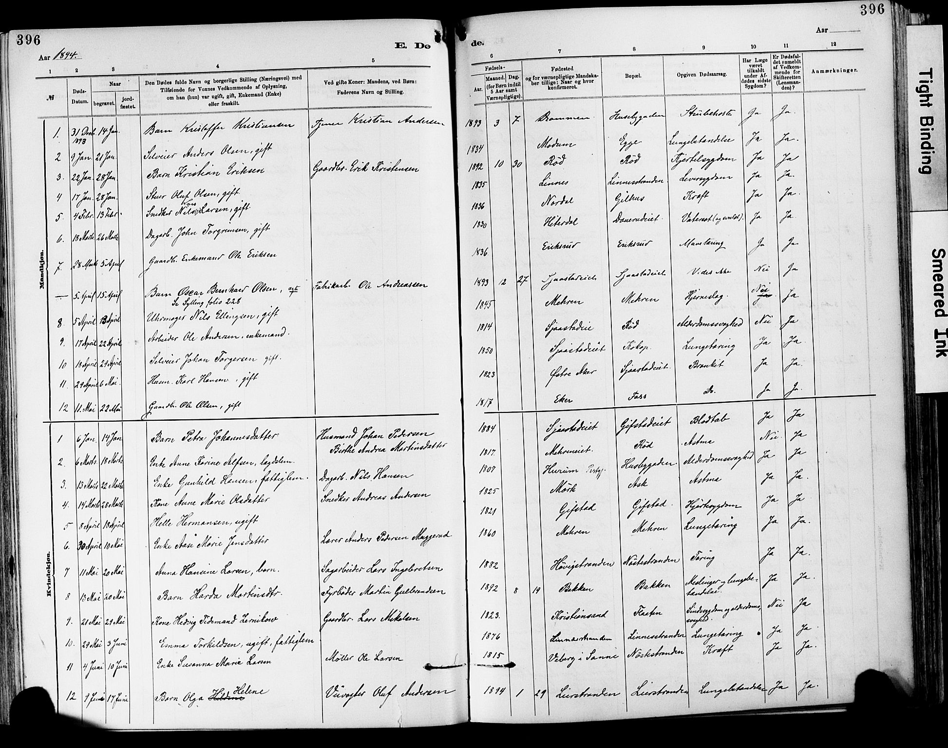 Lier kirkebøker, SAKO/A-230/F/Fa/L0015: Parish register (official) no. I 15, 1883-1894, p. 396