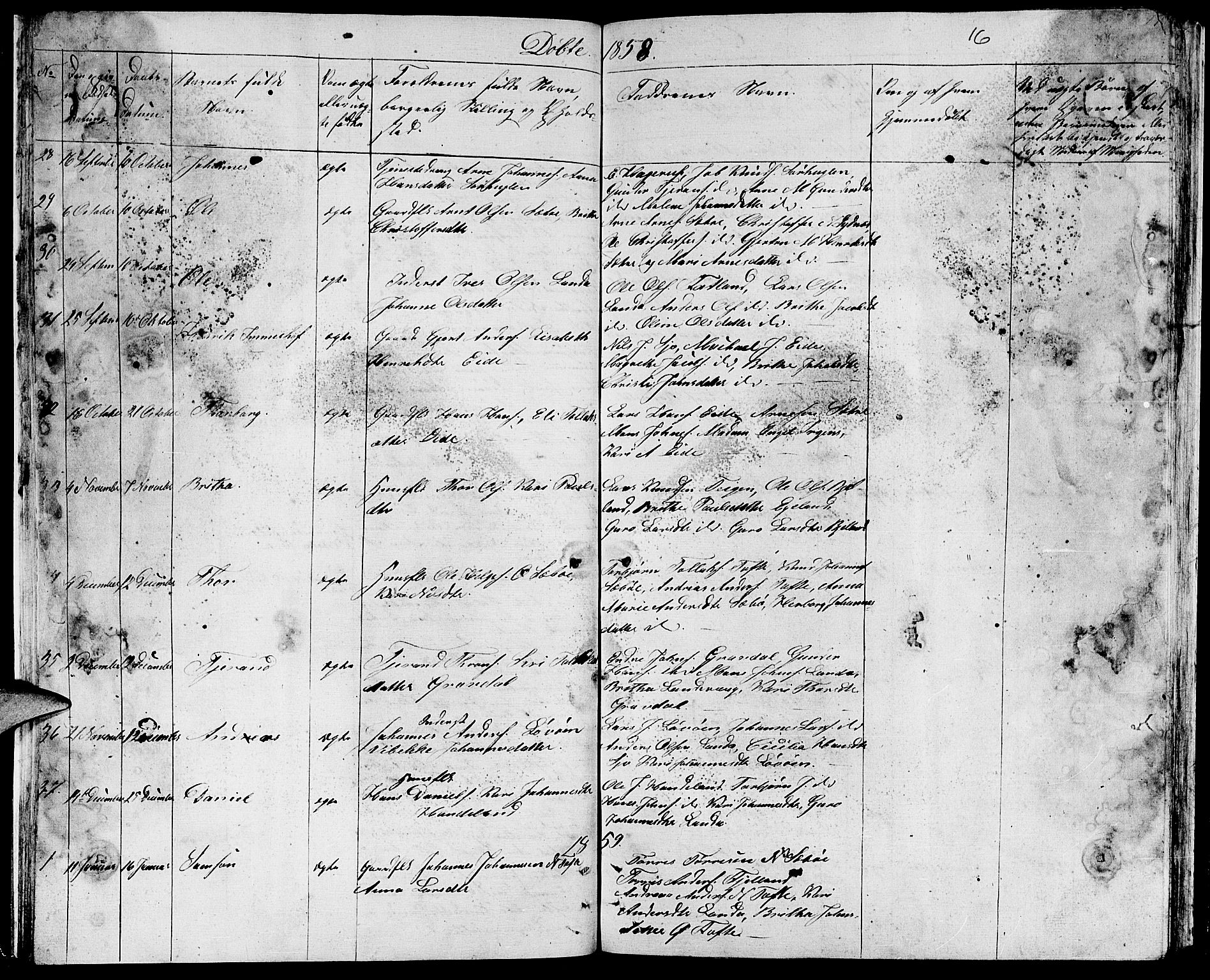 Fjelberg sokneprestembete, SAB/A-75201/H/Hab: Parish register (copy) no. B 2, 1854-1868, p. 16
