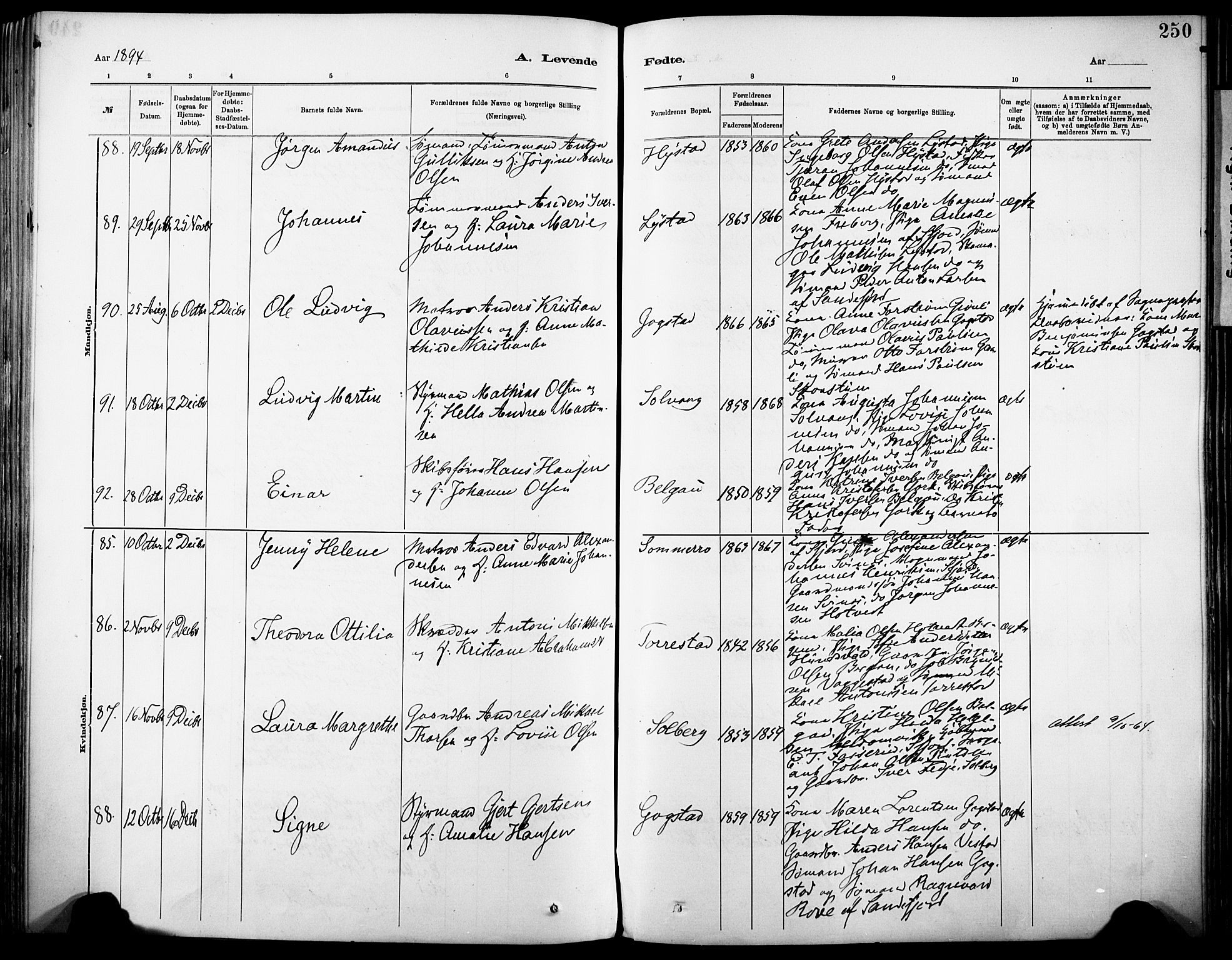 Sandar kirkebøker, AV/SAKO-A-243/F/Fa/L0012: Parish register (official) no. 12, 1883-1895, p. 250