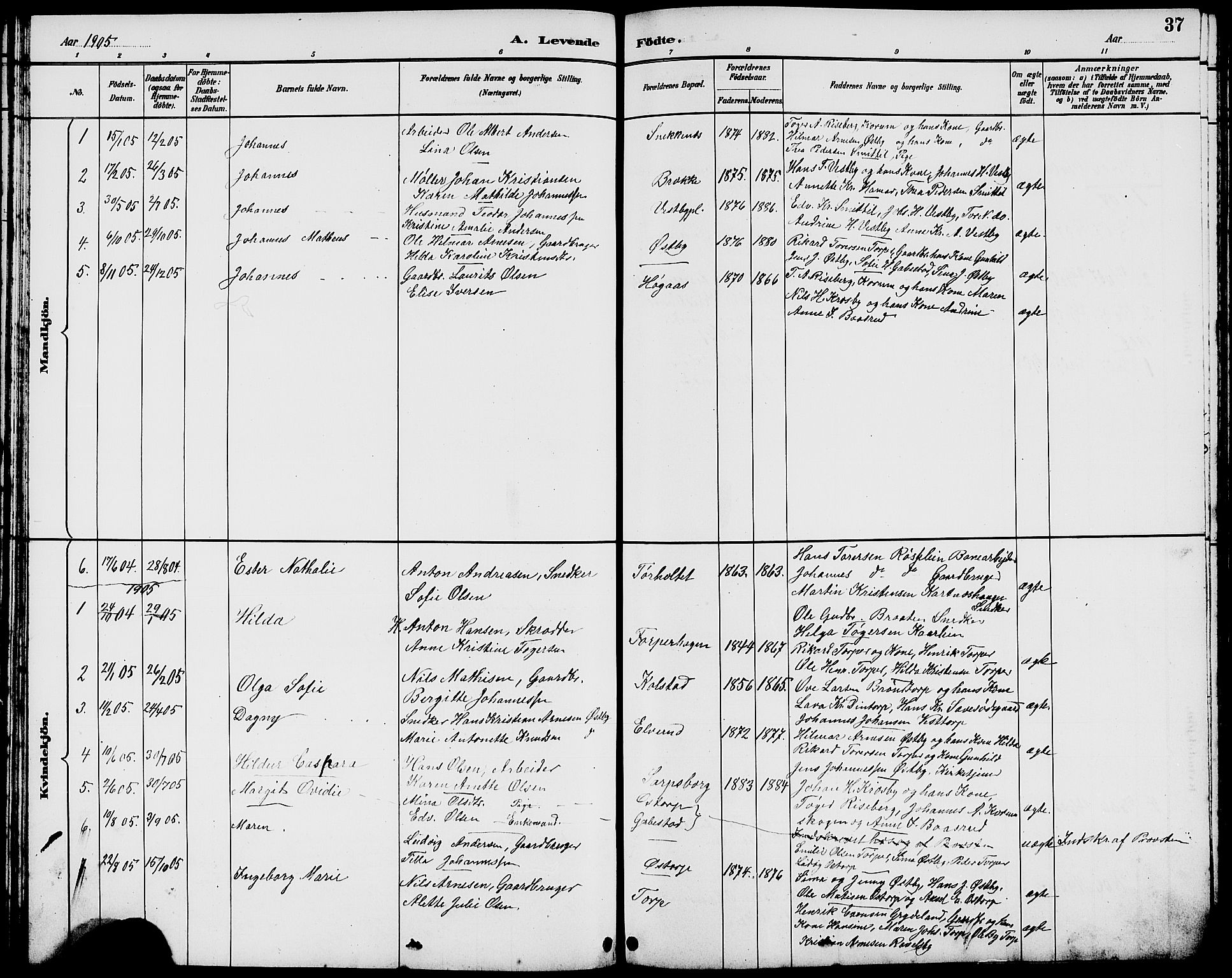 Rakkestad prestekontor Kirkebøker, AV/SAO-A-2008/G/Gc/L0001: Parish register (copy) no. III 1, 1887-1908, p. 37