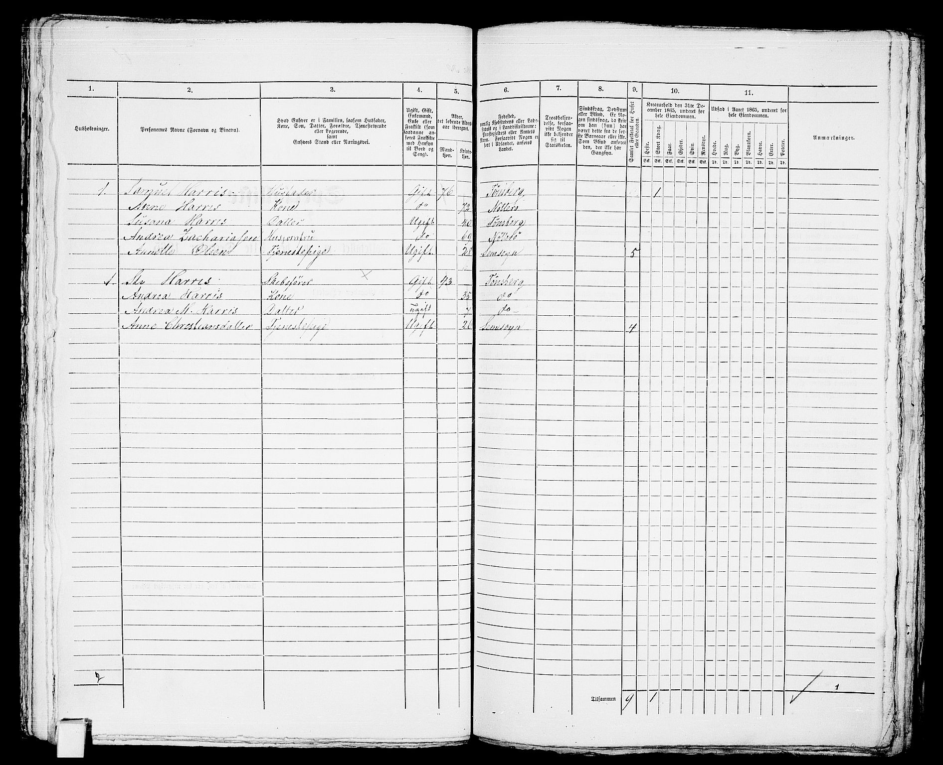 RA, 1865 census for Tønsberg, 1865, p. 529