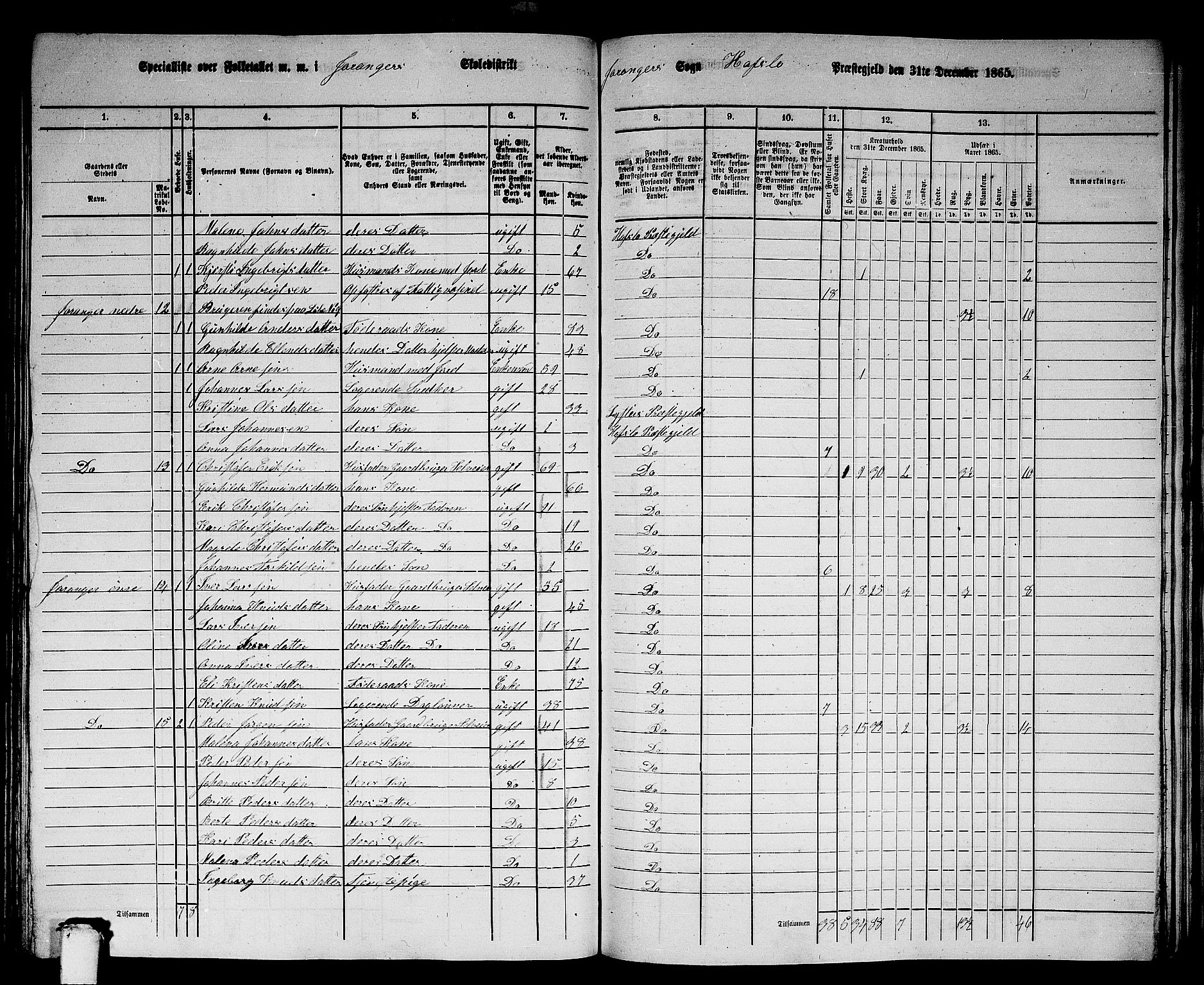 RA, 1865 census for Hafslo, 1865, p. 121