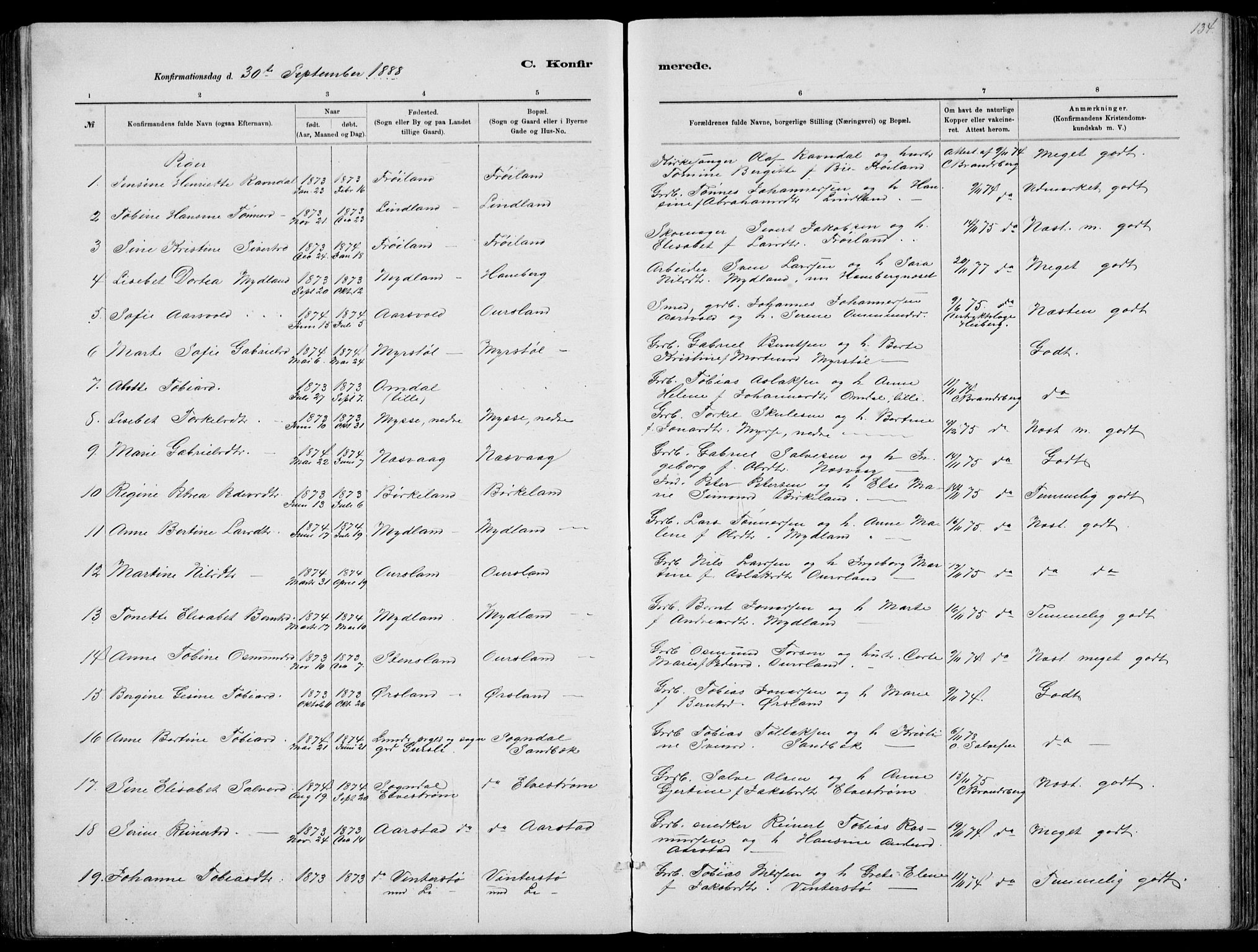 Sokndal sokneprestkontor, AV/SAST-A-101808: Parish register (copy) no. B 4, 1880-1891, p. 134