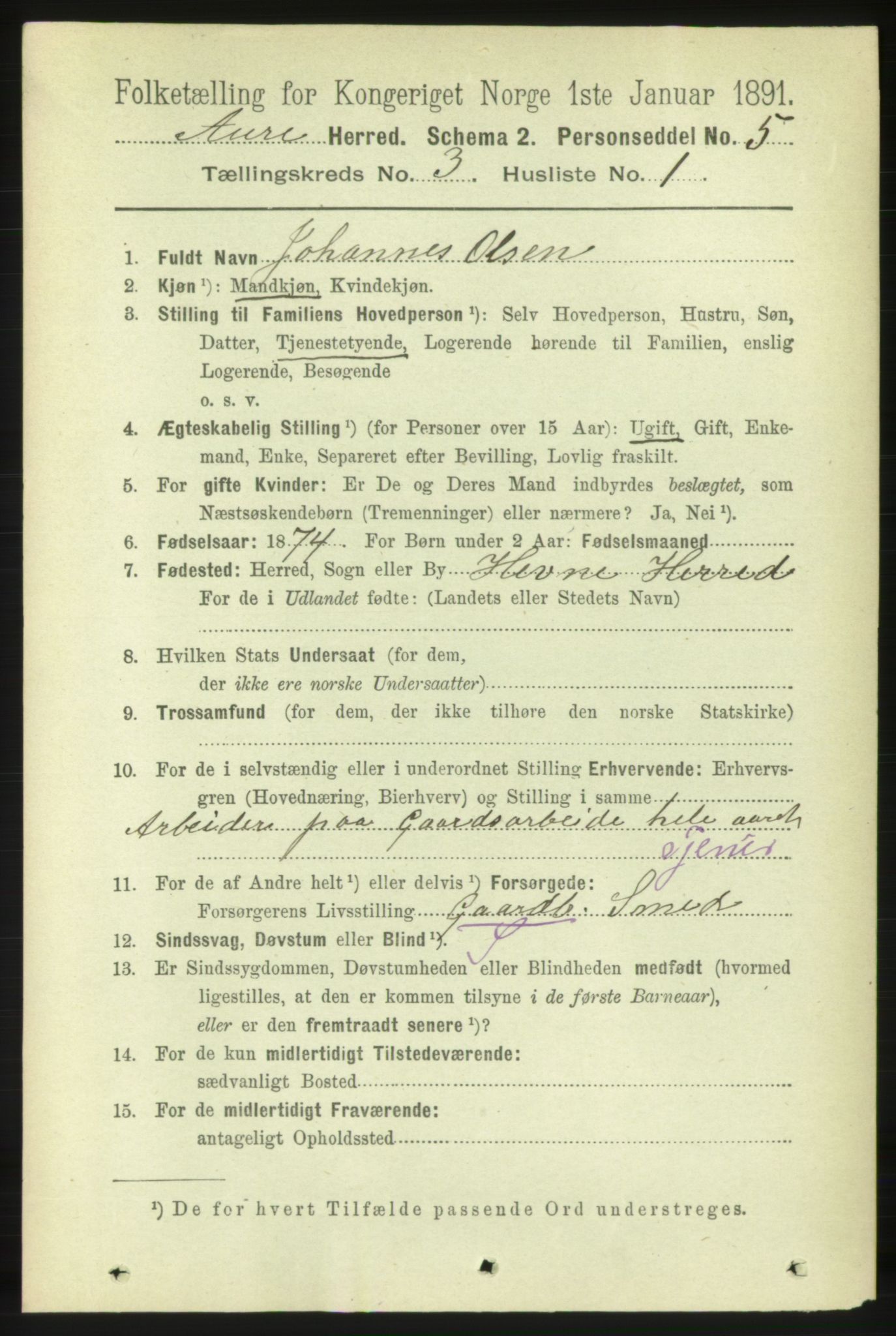 RA, 1891 census for 1569 Aure, 1891, p. 1555