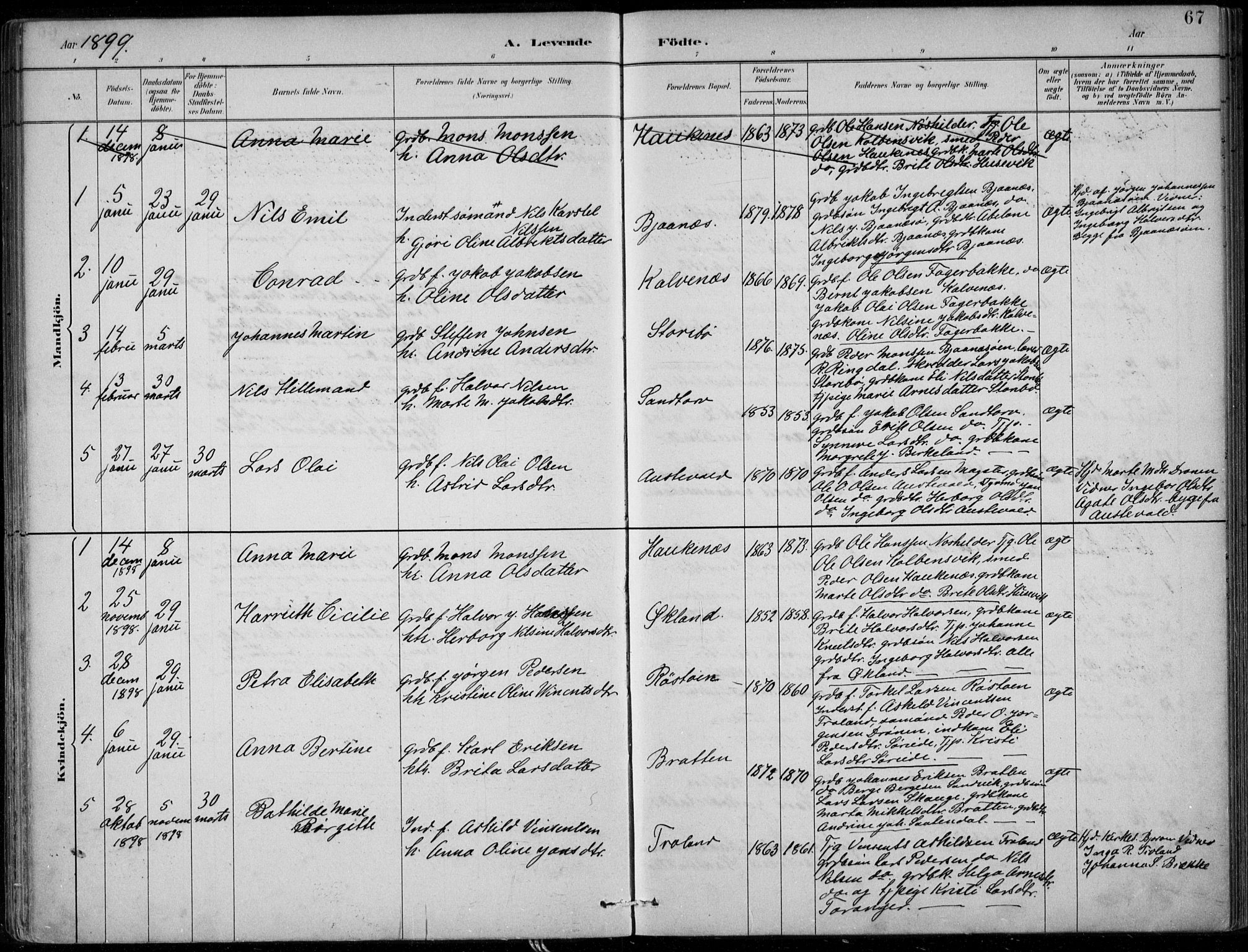 Sund sokneprestembete, SAB/A-99930: Parish register (official) no. C  1, 1882-1899, p. 67