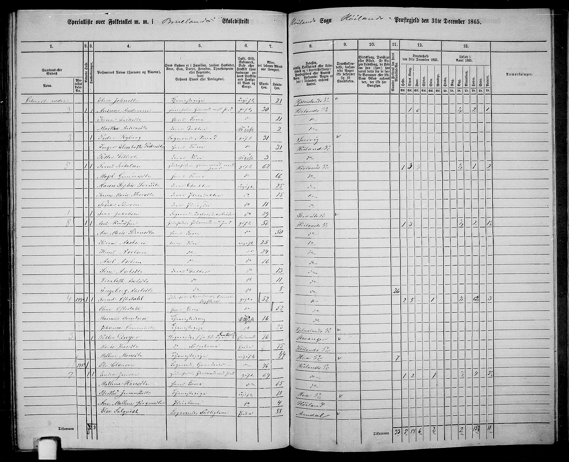 RA, 1865 census for Høyland, 1865, p. 132