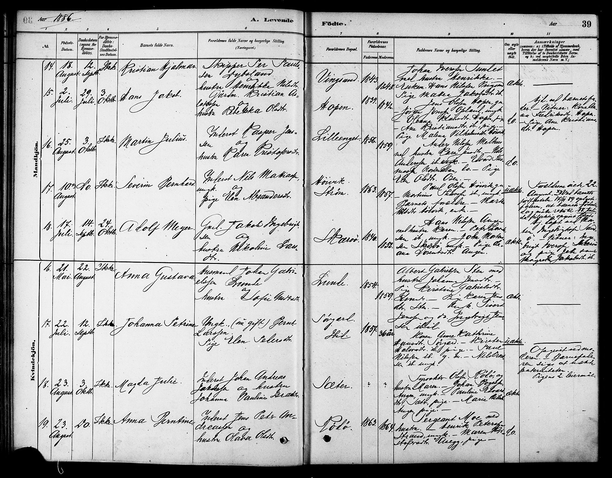 Ministerialprotokoller, klokkerbøker og fødselsregistre - Sør-Trøndelag, SAT/A-1456/658/L0722: Parish register (official) no. 658A01, 1879-1896, p. 39