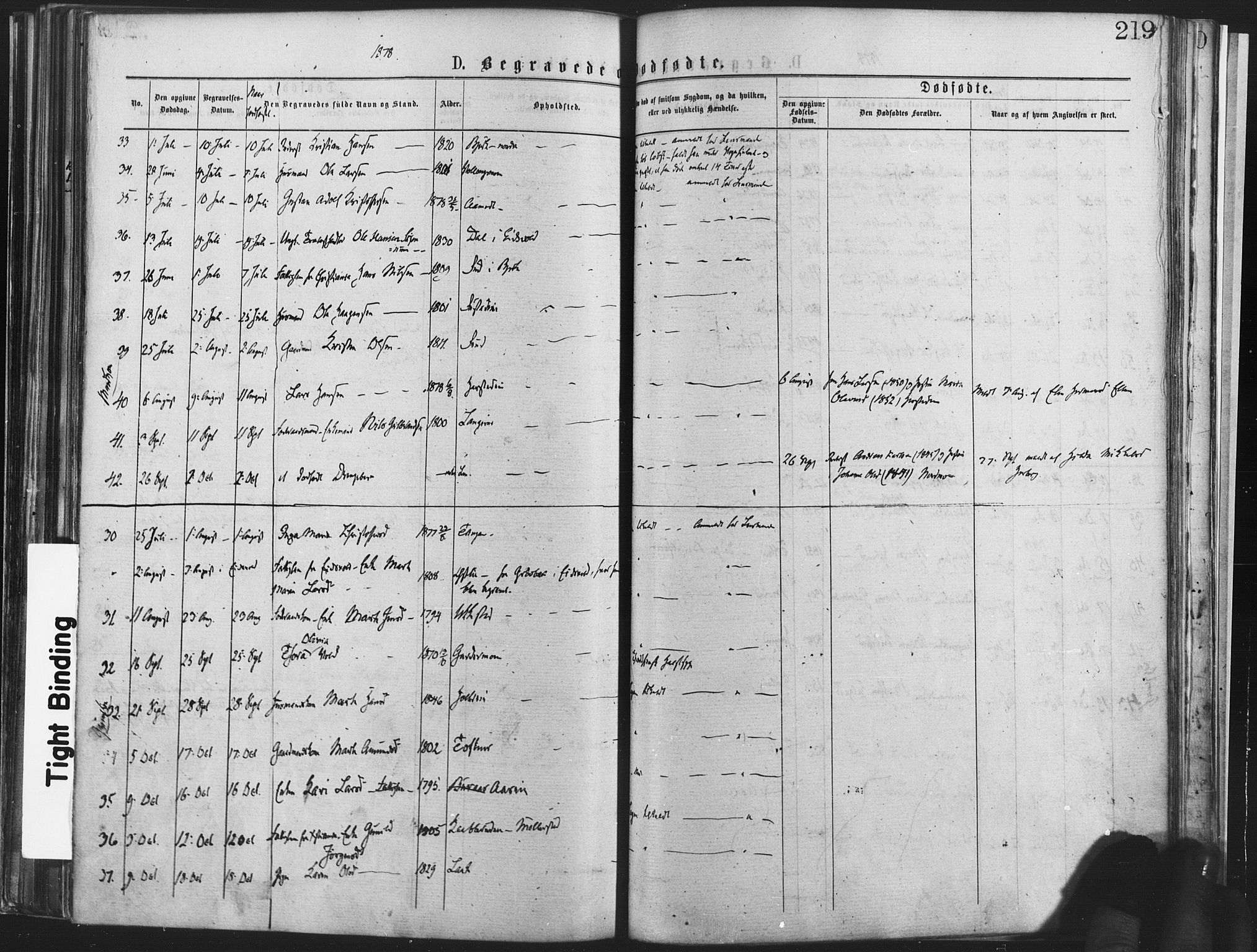 Nannestad prestekontor Kirkebøker, SAO/A-10414a/F/Fa/L0013: Parish register (official) no. I 13, 1873-1880, p. 219