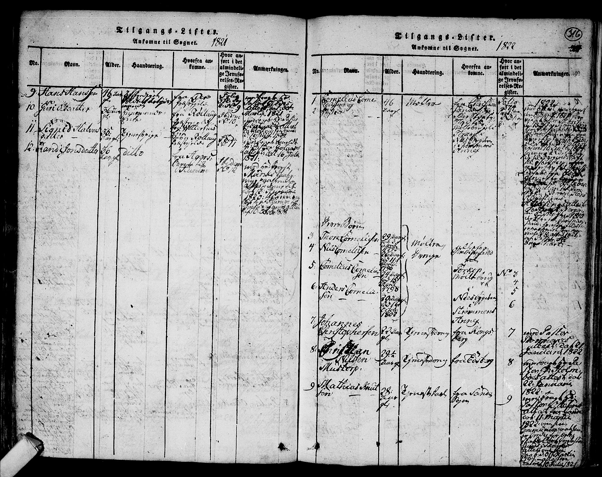 Hurum kirkebøker, SAKO/A-229/F/Fa/L0009: Parish register (official) no. 9, 1816-1826, p. 316