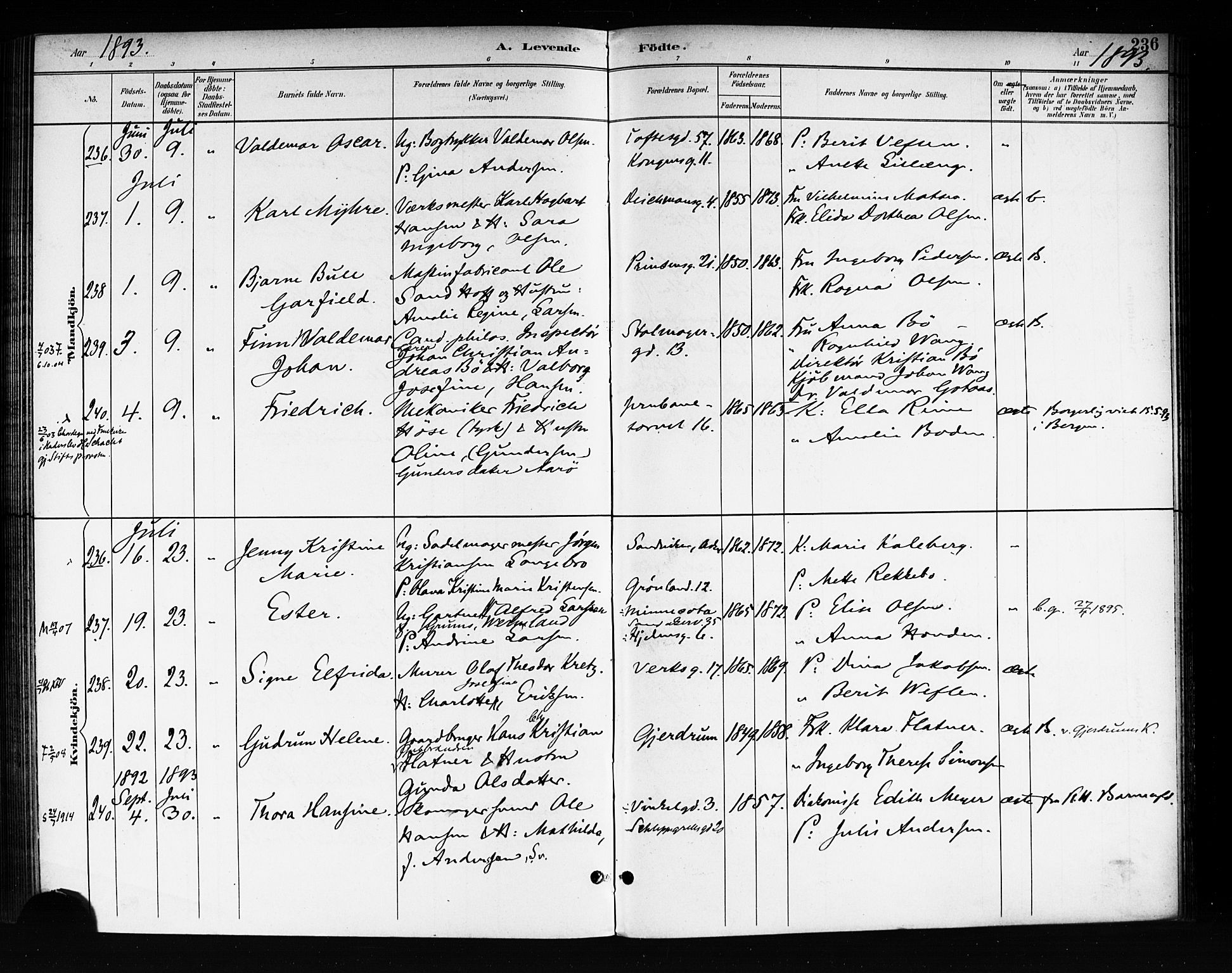 Rikshospitalet prestekontor Kirkebøker, SAO/A-10309b/F/L0008: Parish register (official) no. 8, 1890-1893, p. 236