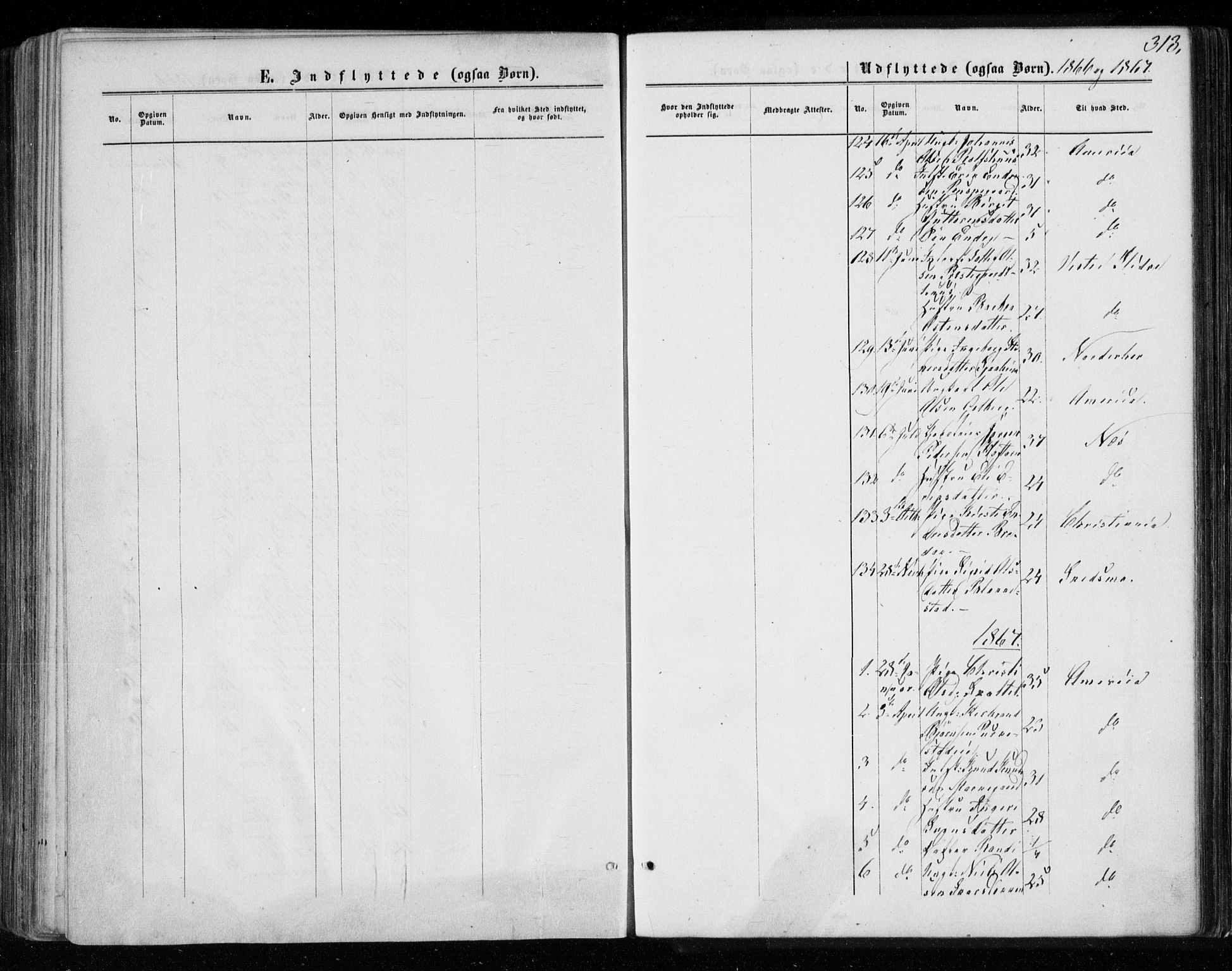 Gol kirkebøker, AV/SAKO-A-226/F/Fa/L0003: Parish register (official) no. I 3, 1863-1875, p. 313