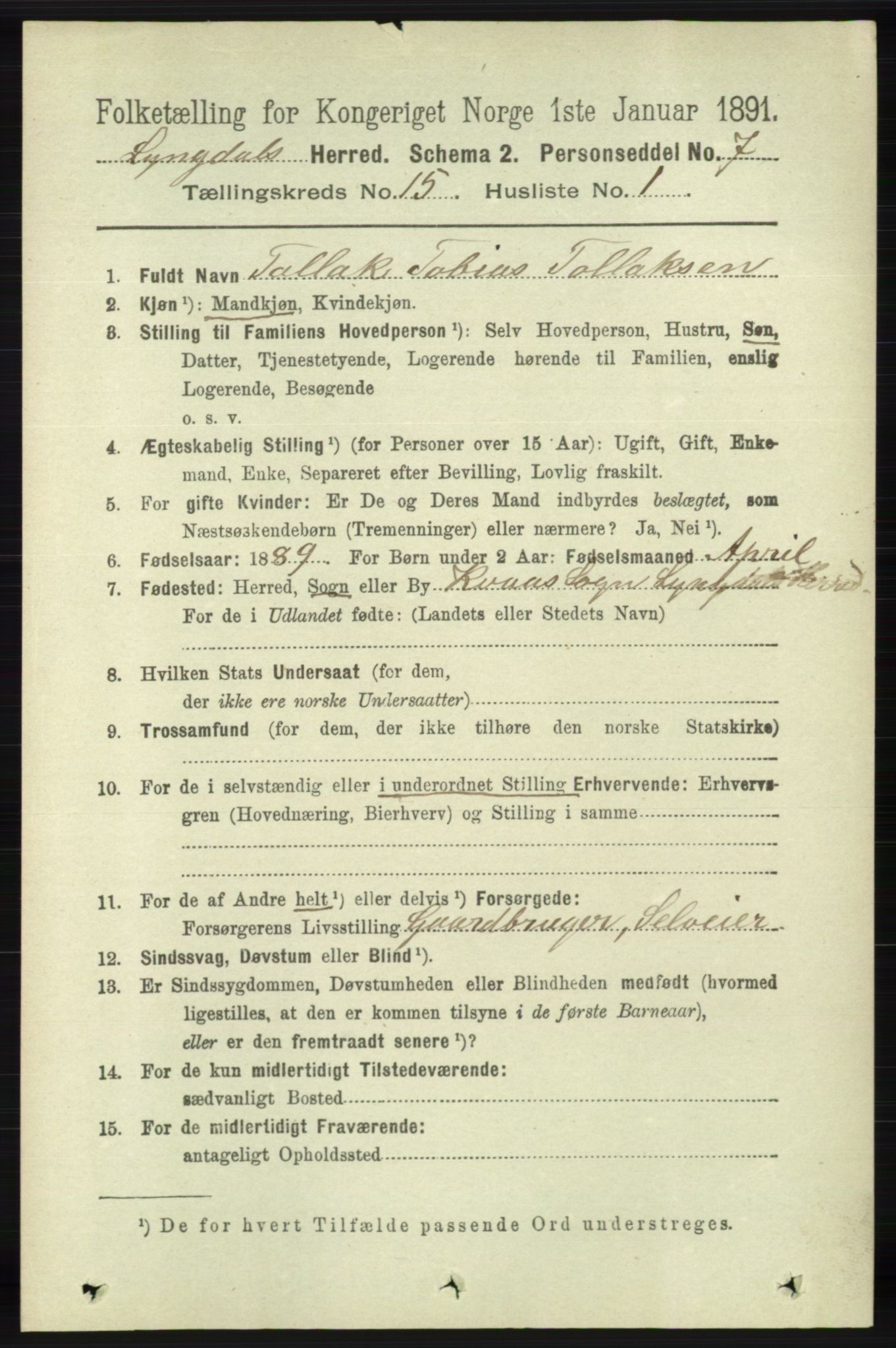 RA, 1891 census for 1032 Lyngdal, 1891, p. 6066