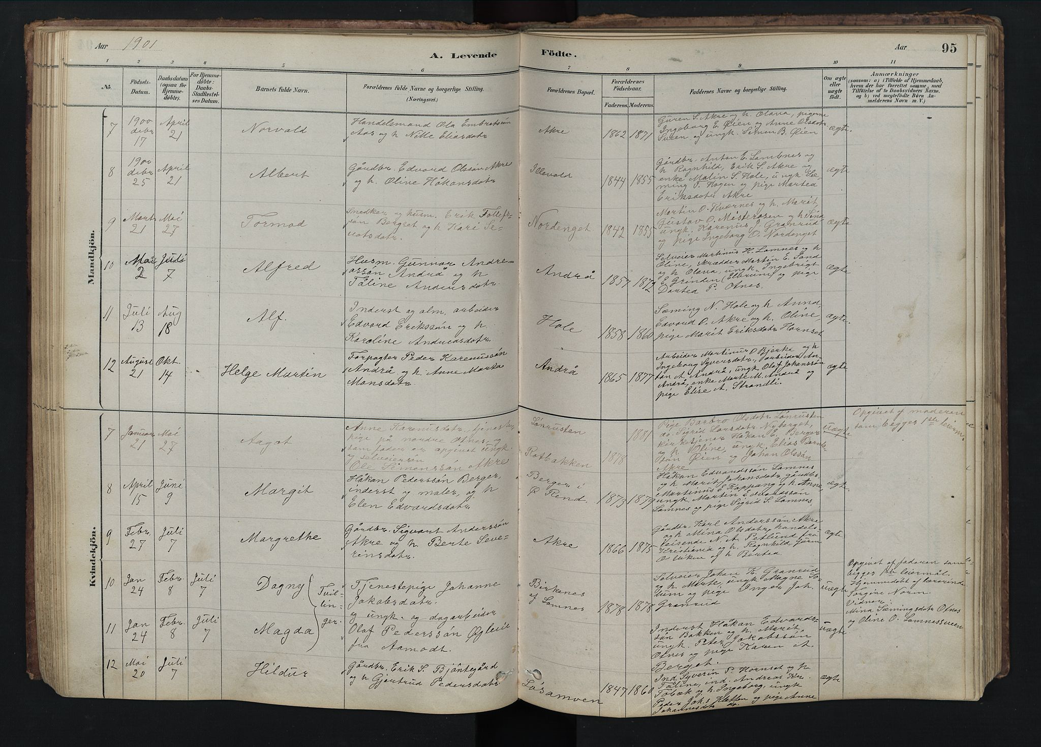 Rendalen prestekontor, SAH/PREST-054/H/Ha/Hab/L0009: Parish register (copy) no. 9, 1879-1902, p. 95
