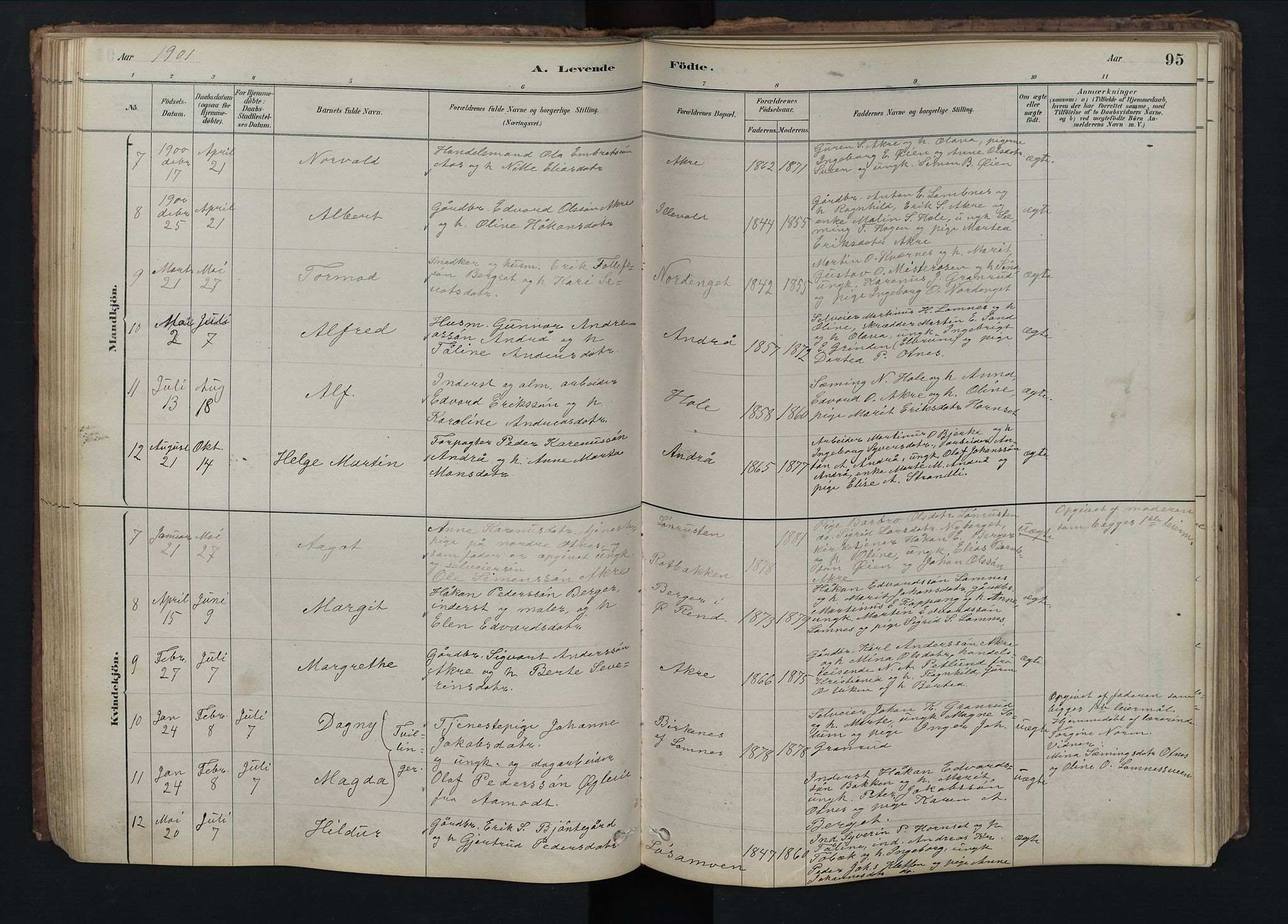Rendalen prestekontor, AV/SAH-PREST-054/H/Ha/Hab/L0009: Parish register (copy) no. 9, 1879-1902, p. 95