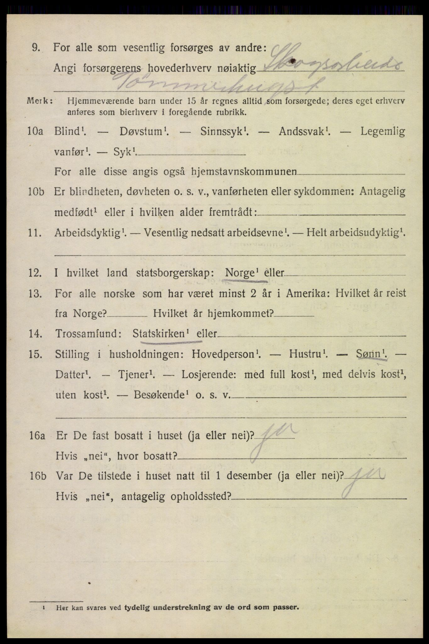 SAH, 1920 census for Brandbu, 1920, p. 2494