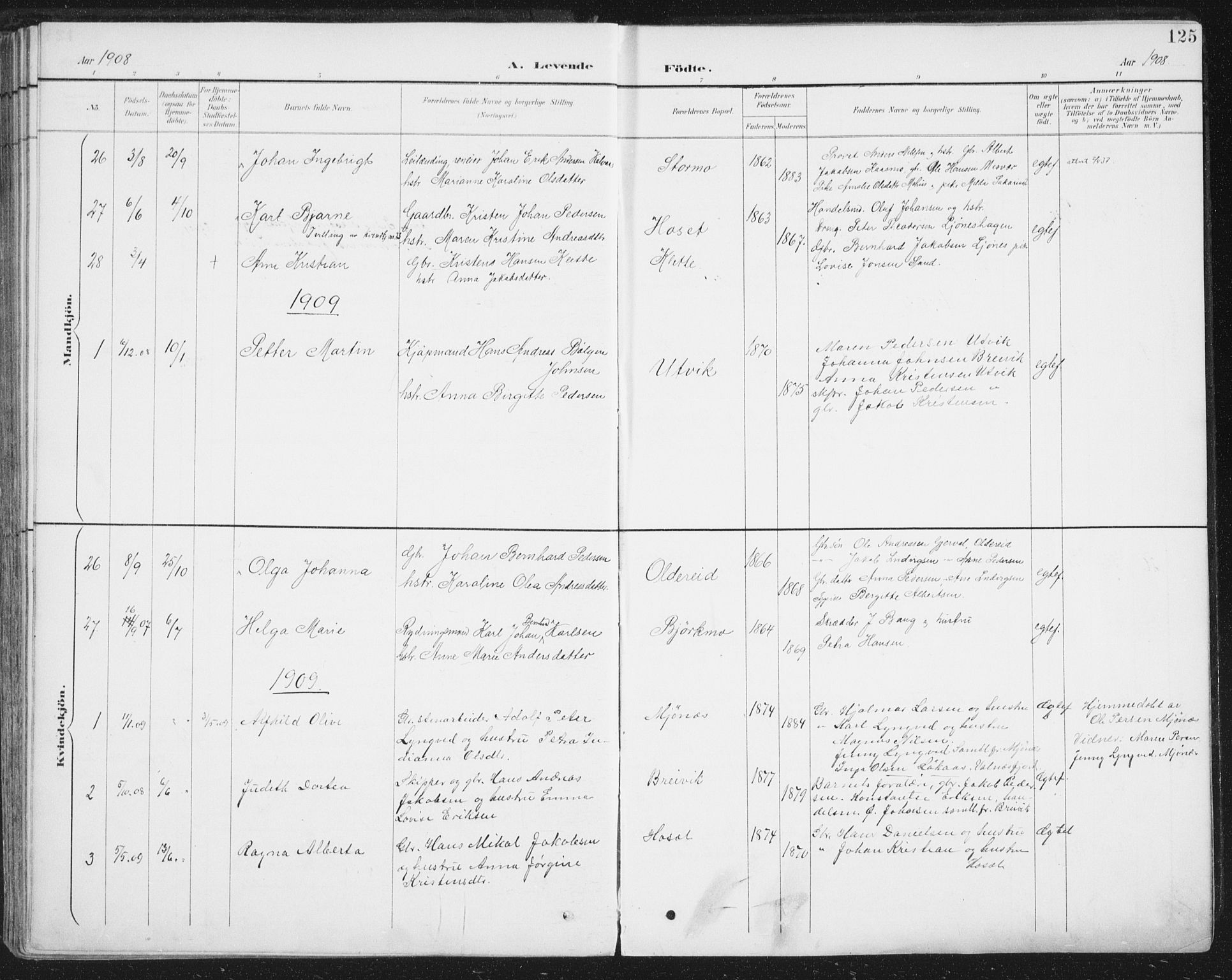 Ministerialprotokoller, klokkerbøker og fødselsregistre - Nordland, SAT/A-1459/852/L0741: Parish register (official) no. 852A11, 1894-1917, p. 125