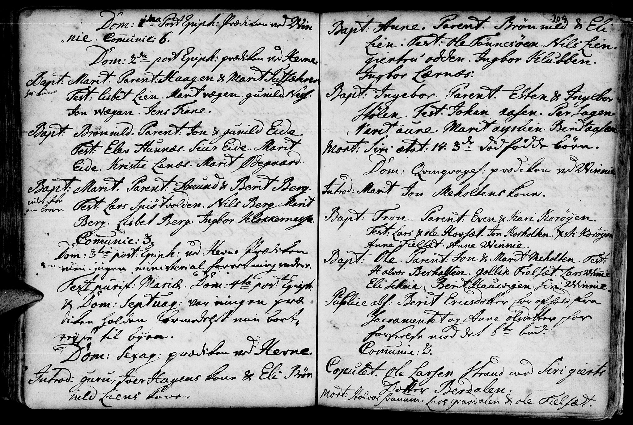 Ministerialprotokoller, klokkerbøker og fødselsregistre - Sør-Trøndelag, AV/SAT-A-1456/630/L0488: Parish register (official) no. 630A01, 1717-1756, p. 208-209