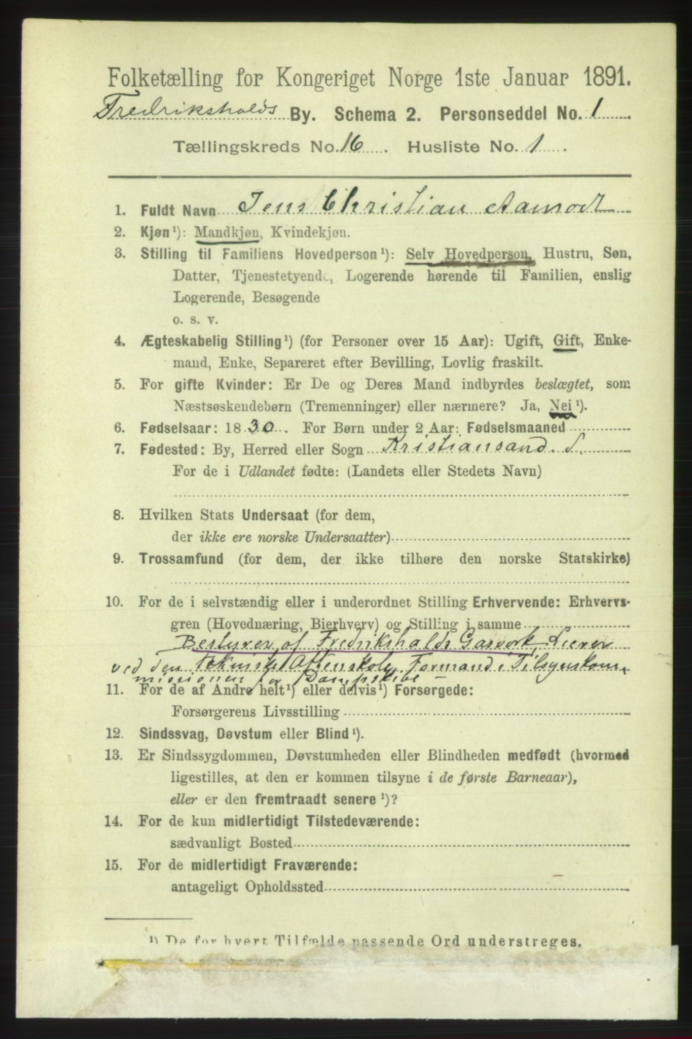 RA, 1891 census for 0101 Fredrikshald, 1891, p. 10382