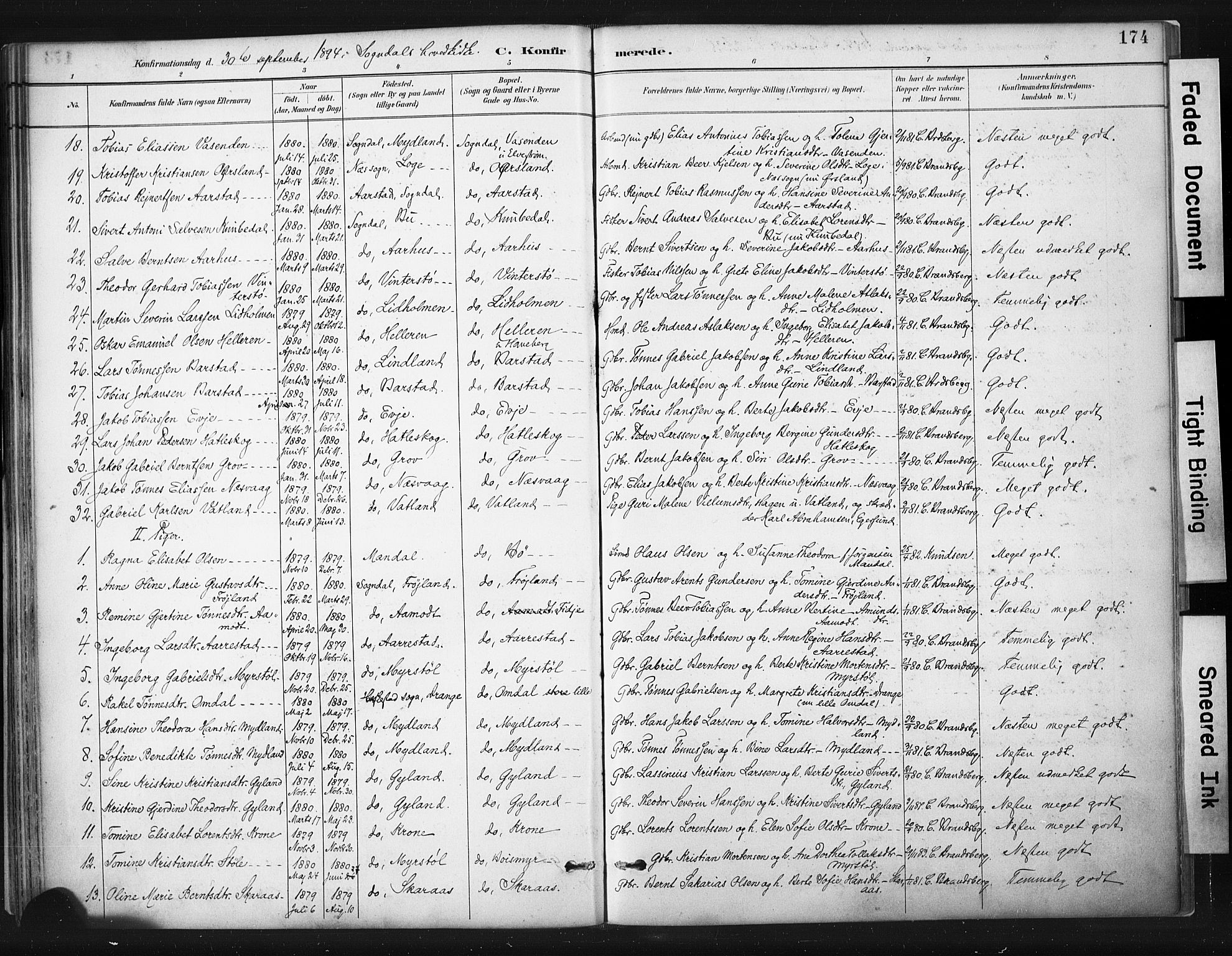 Sokndal sokneprestkontor, AV/SAST-A-101808: Parish register (official) no. A 11.1, 1887-1905, p. 174